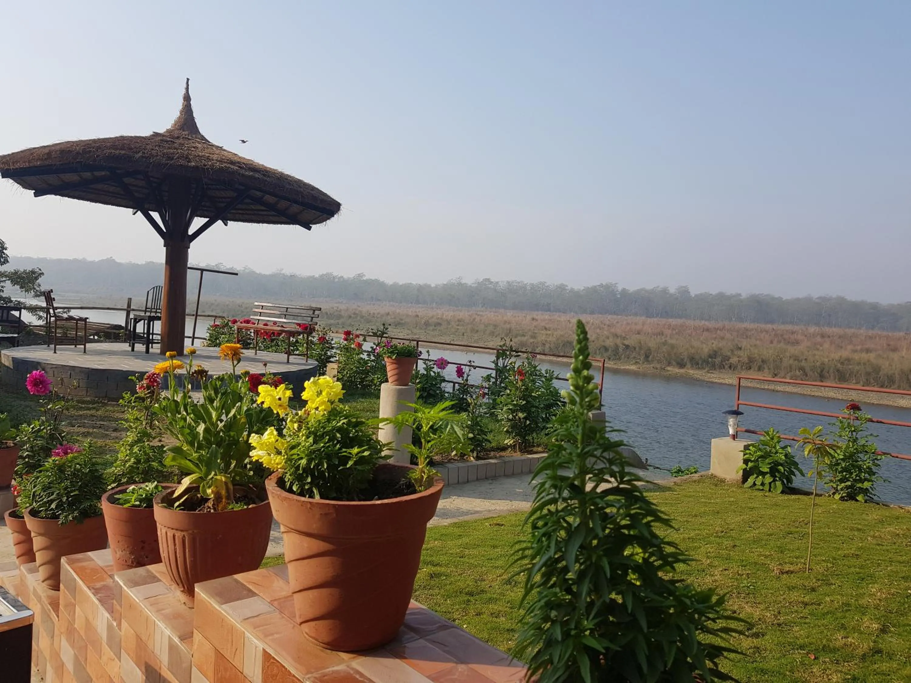 Jungle Wildlife Camp