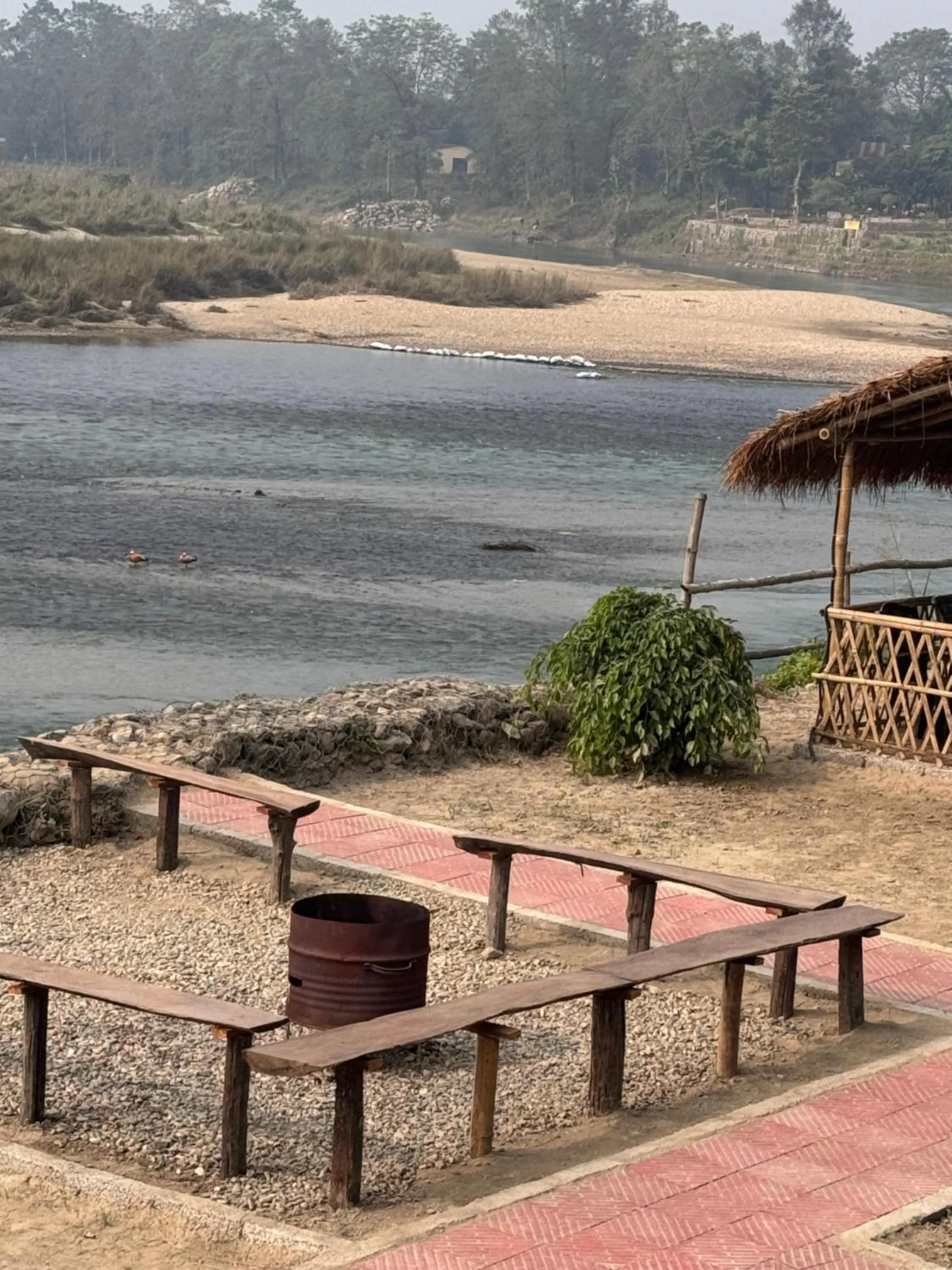 Jungle Wildlife Camp