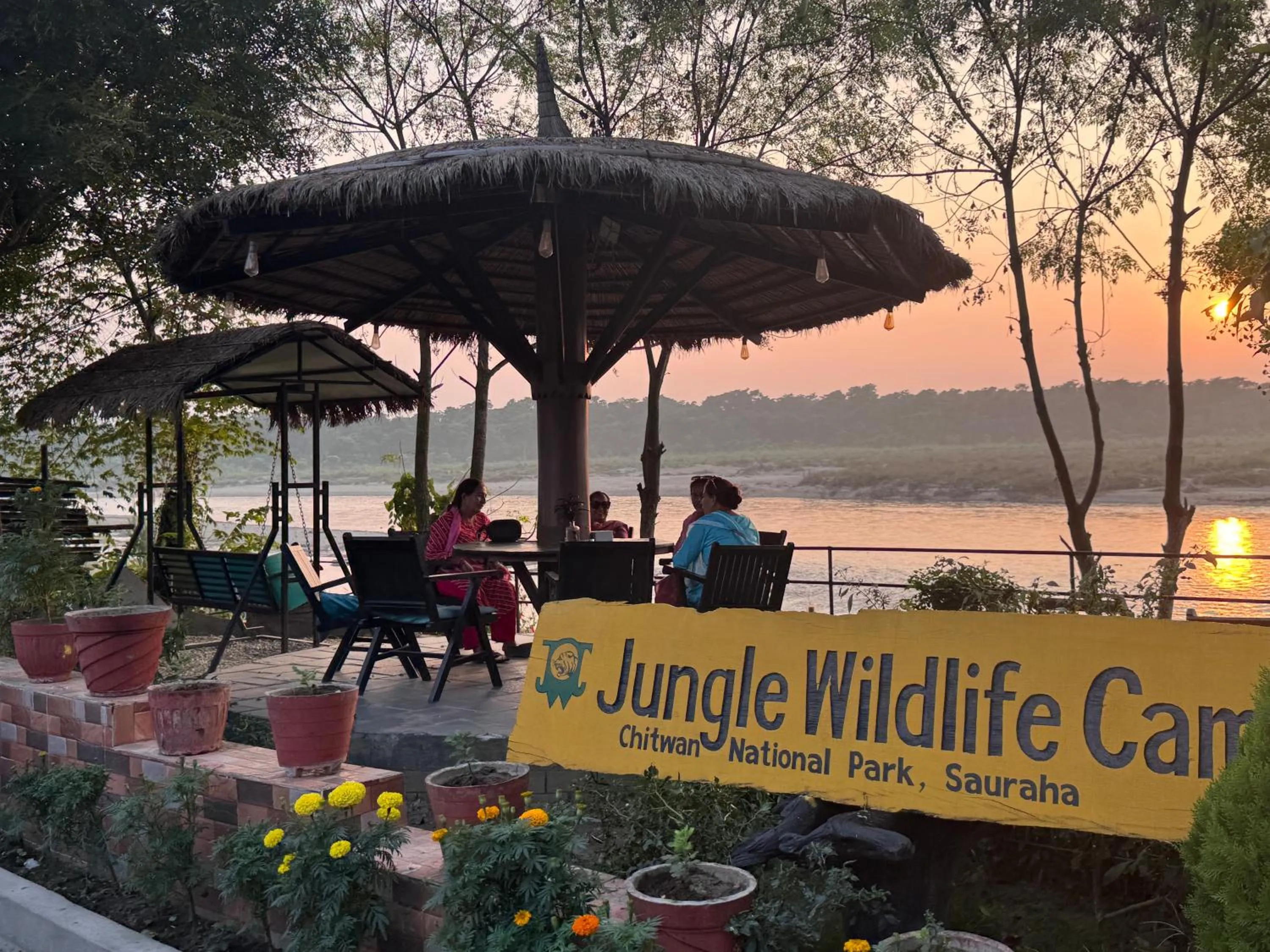 Jungle Wildlife Camp