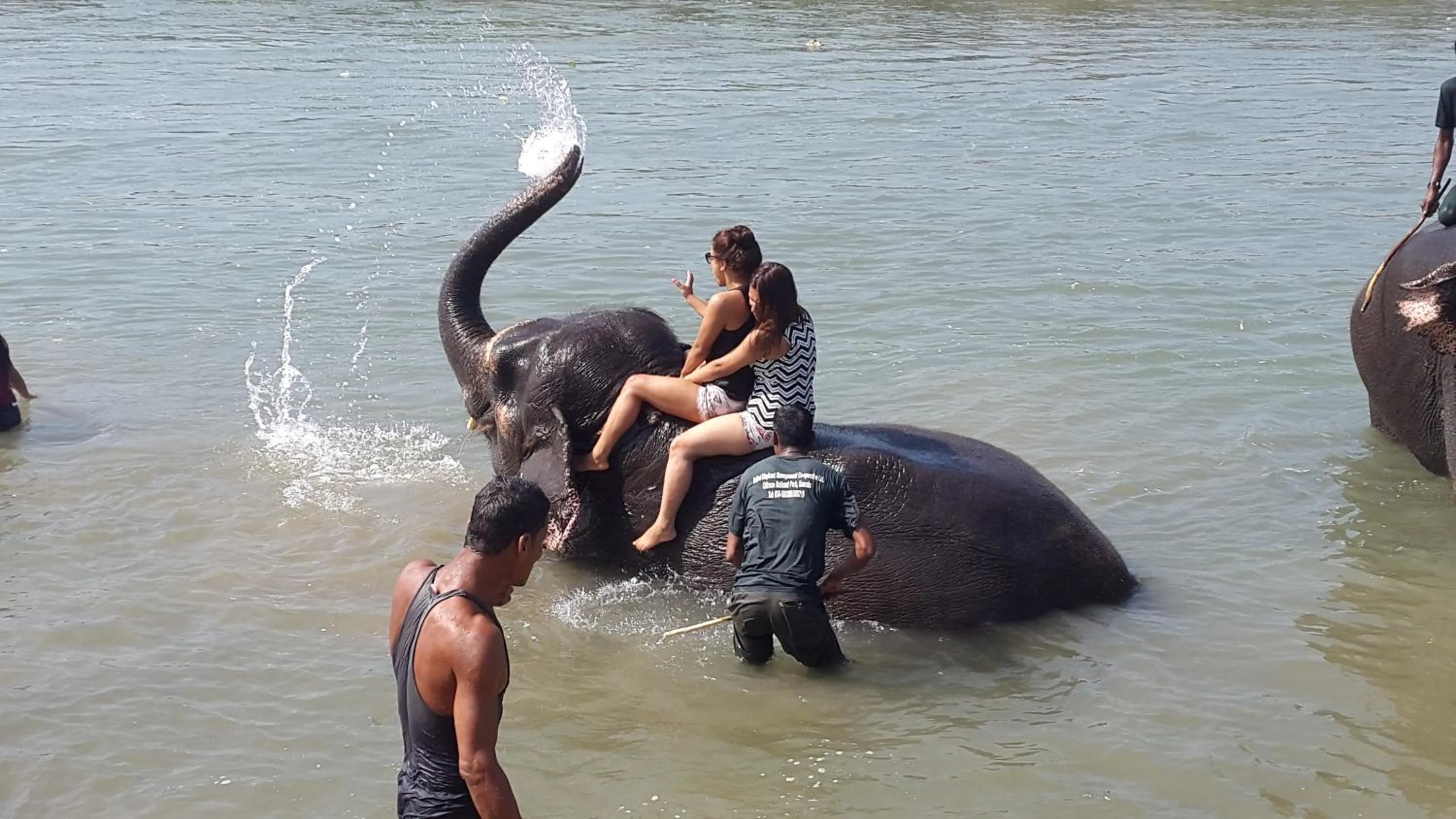 Jungle Wildlife Camp