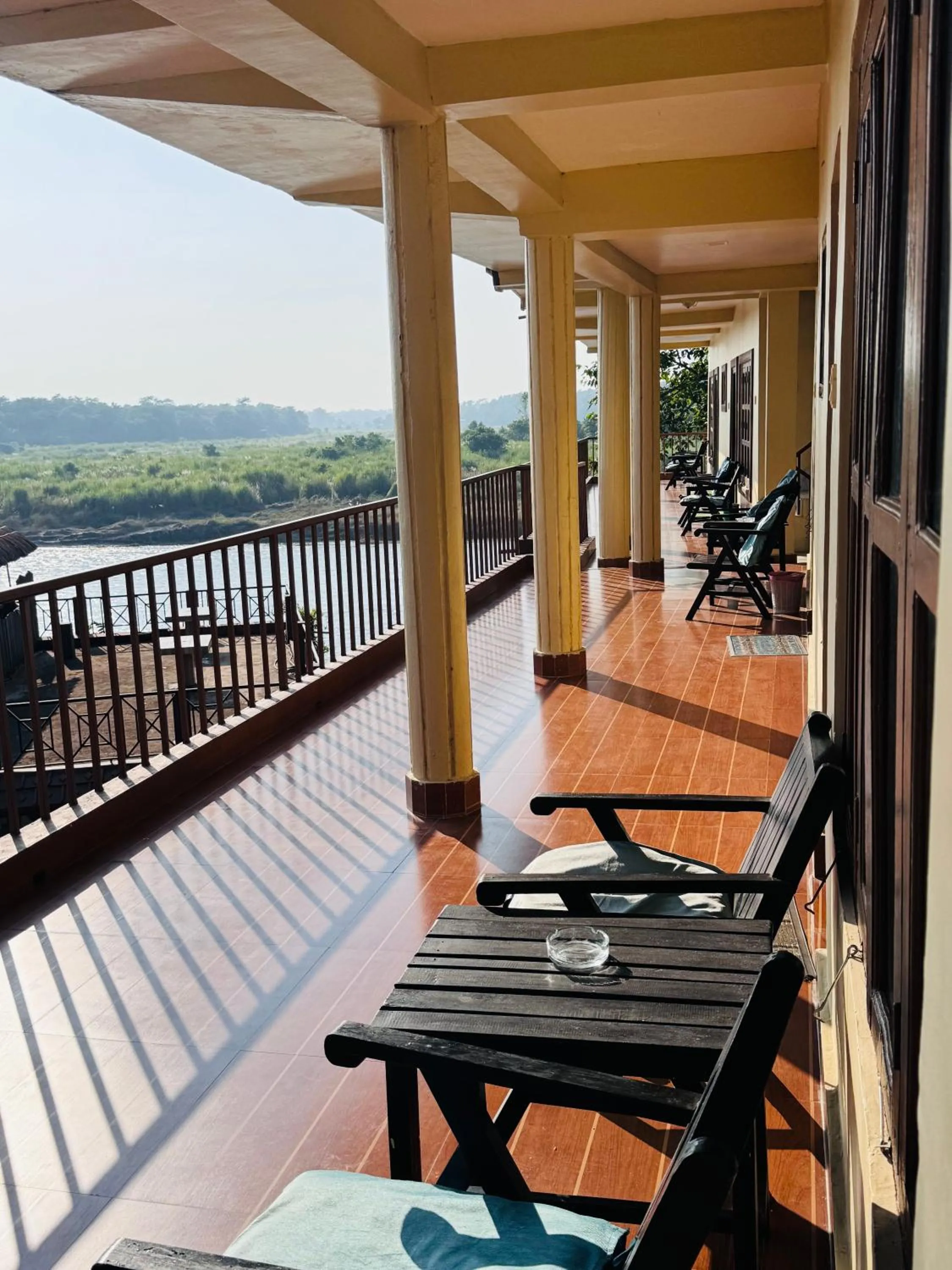 Jungle Wildlife Camp