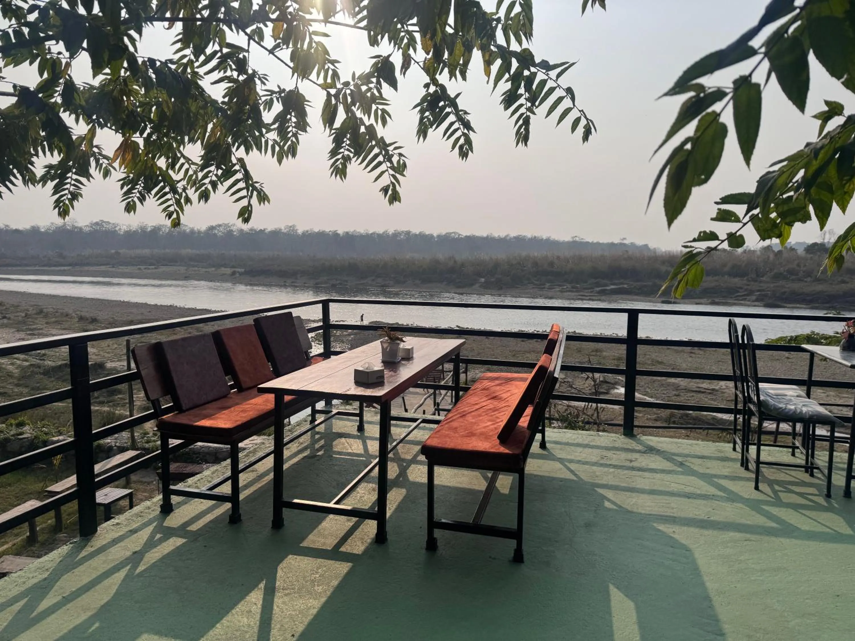 Jungle Wildlife Camp