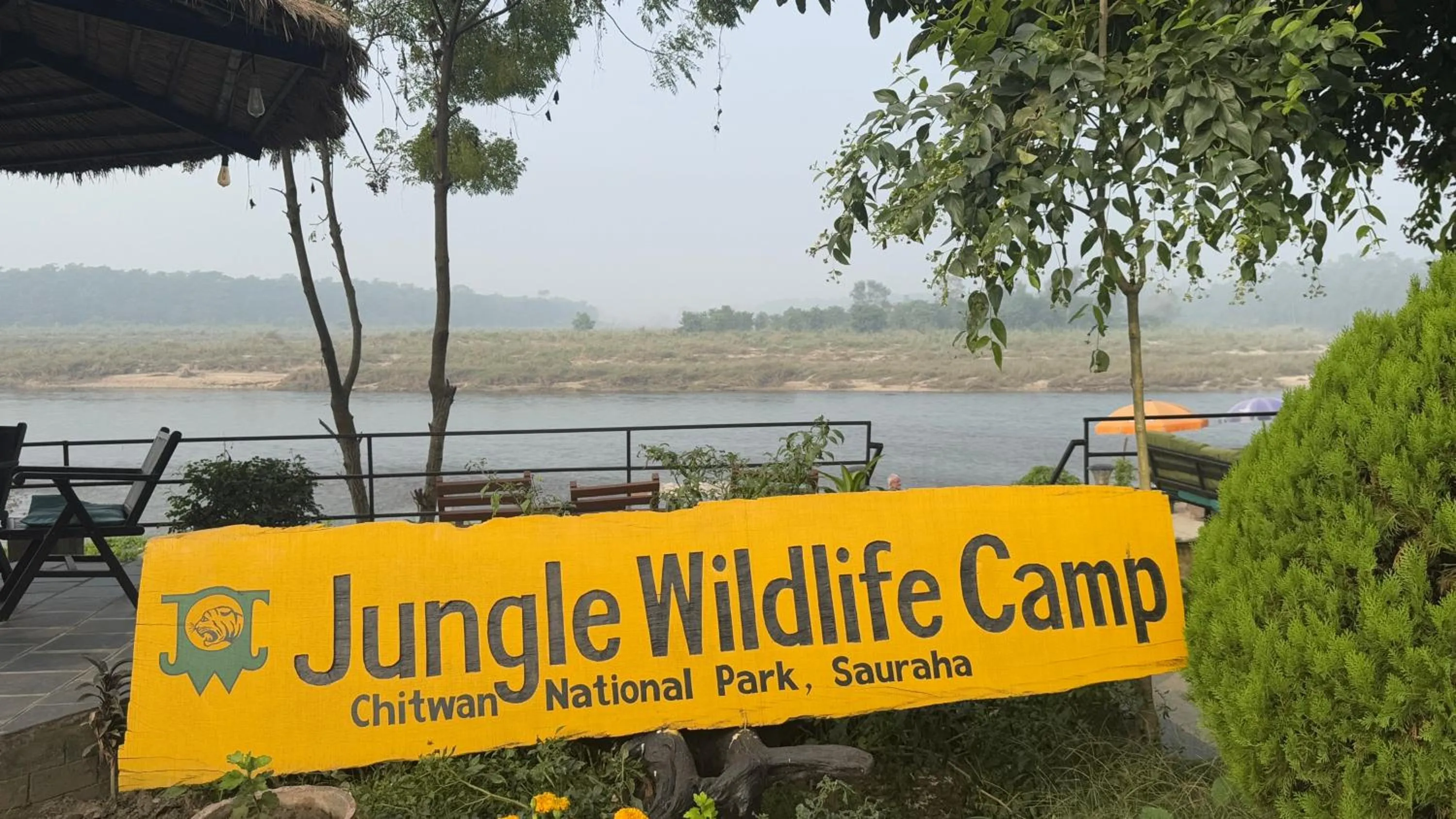 Jungle Wildlife Camp