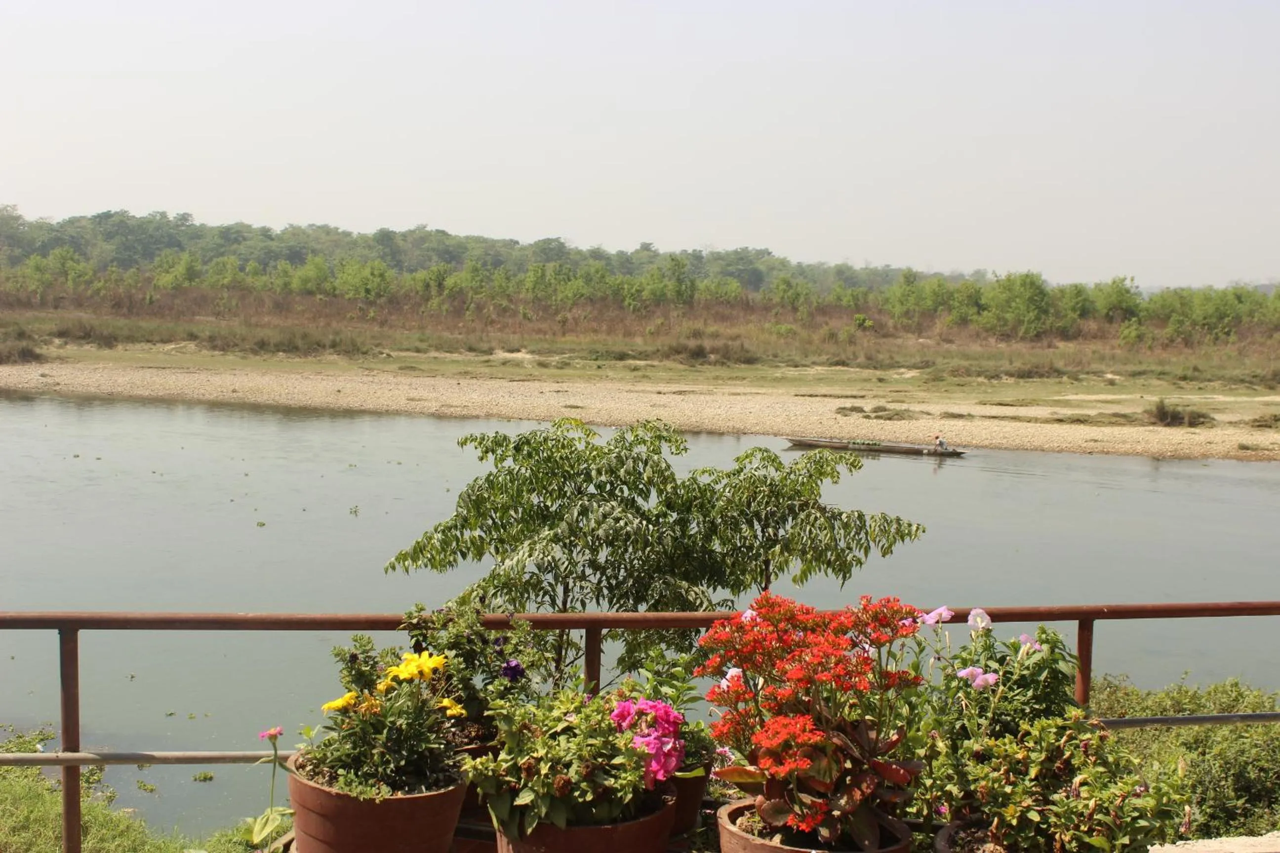 Jungle Wildlife Camp