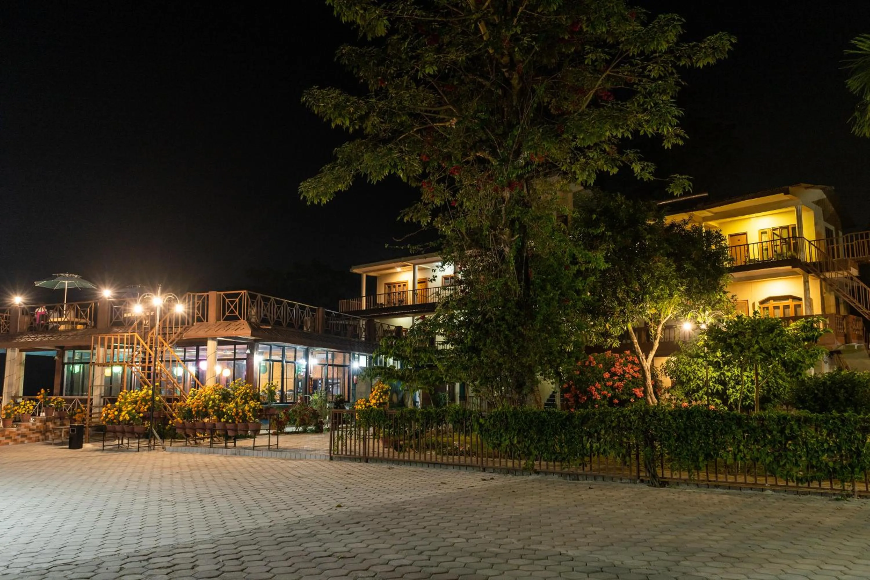 Jungle Wildlife Camp