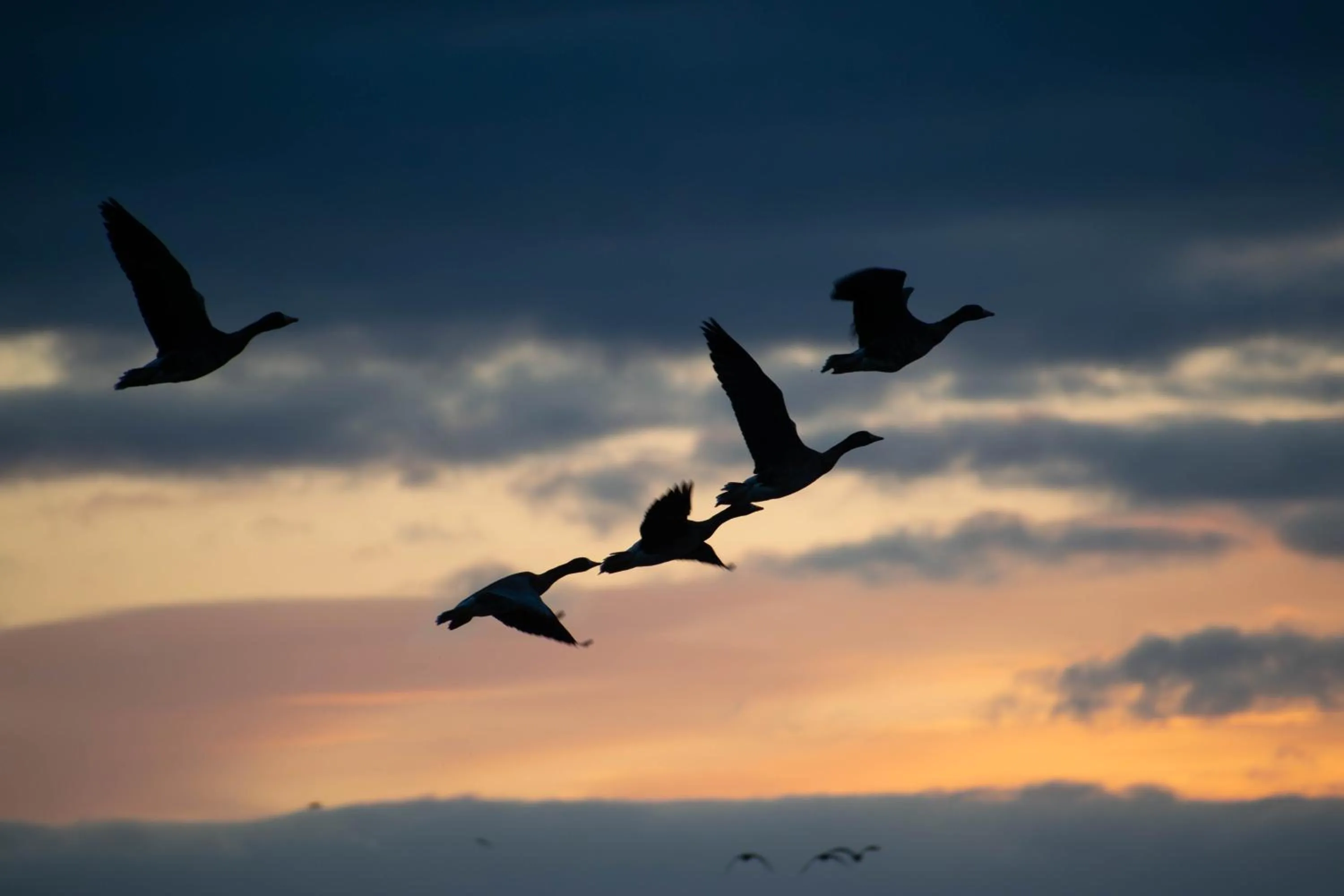 Nearby landmark in Minami Sanriku Hotel kanyo