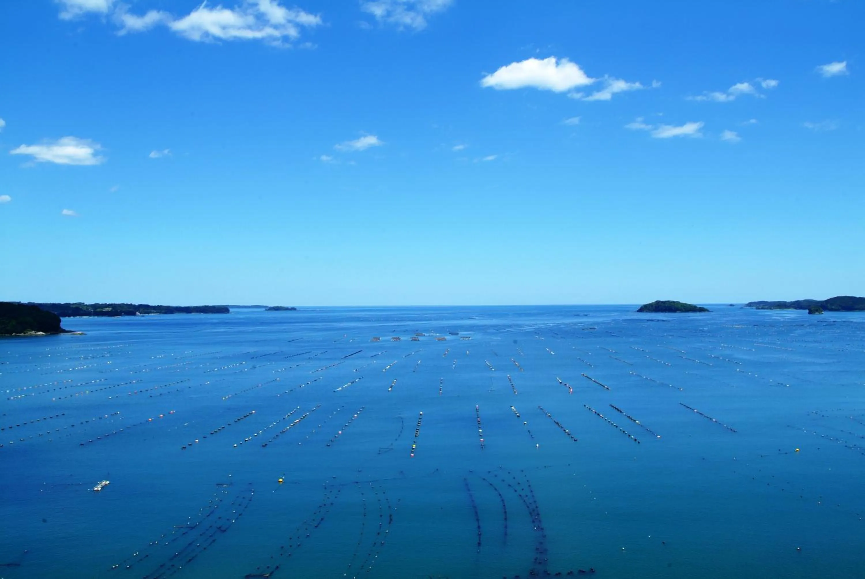 Sea view in Minami Sanriku Hotel kanyo