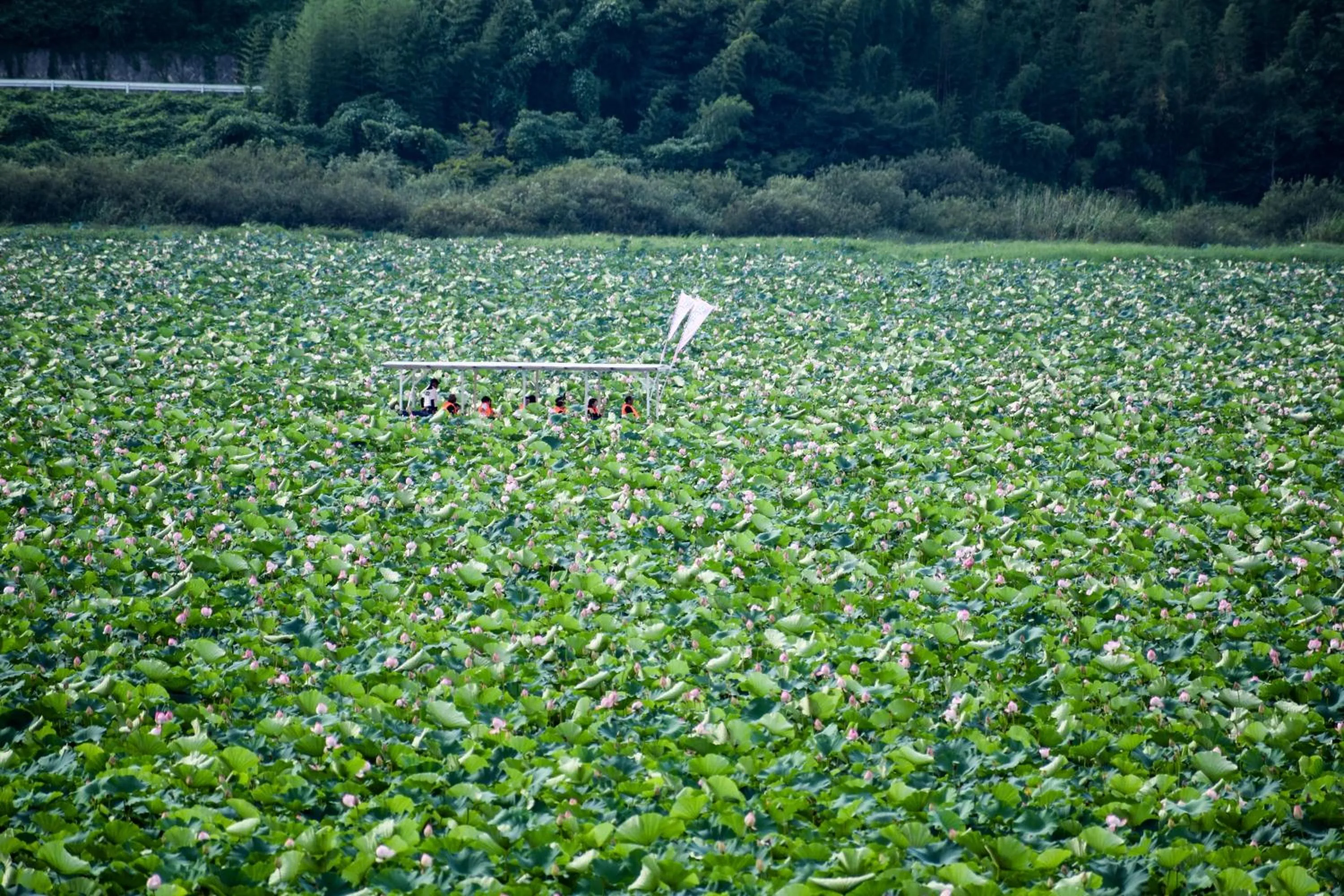 Nearby landmark in Minami Sanriku Hotel kanyo