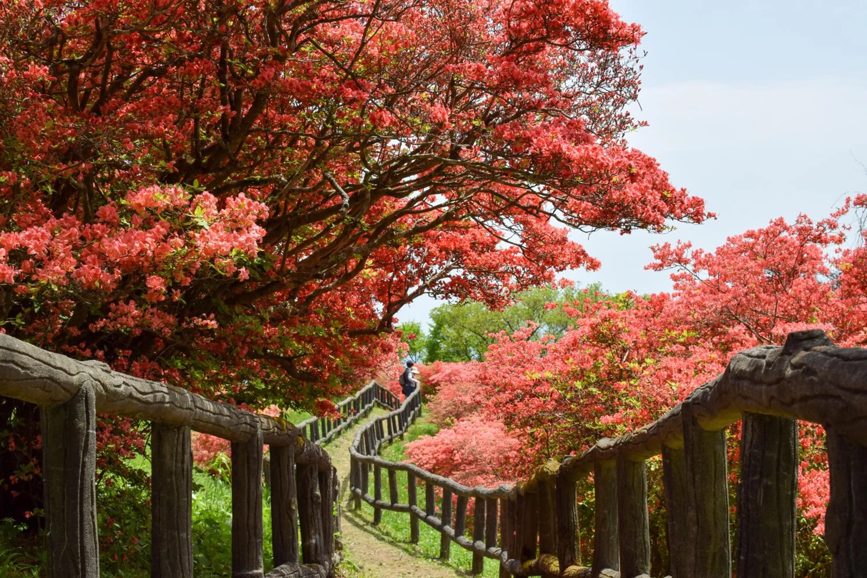 Nearby landmark in Minami Sanriku Hotel kanyo