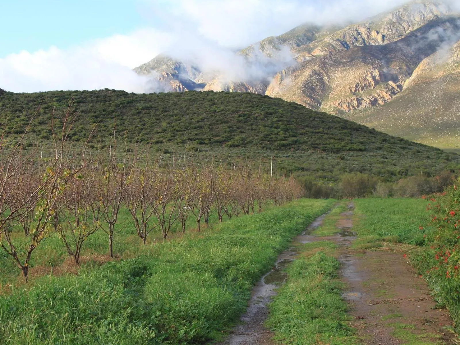 Natural landscape in The Barn On 62 - Cottages