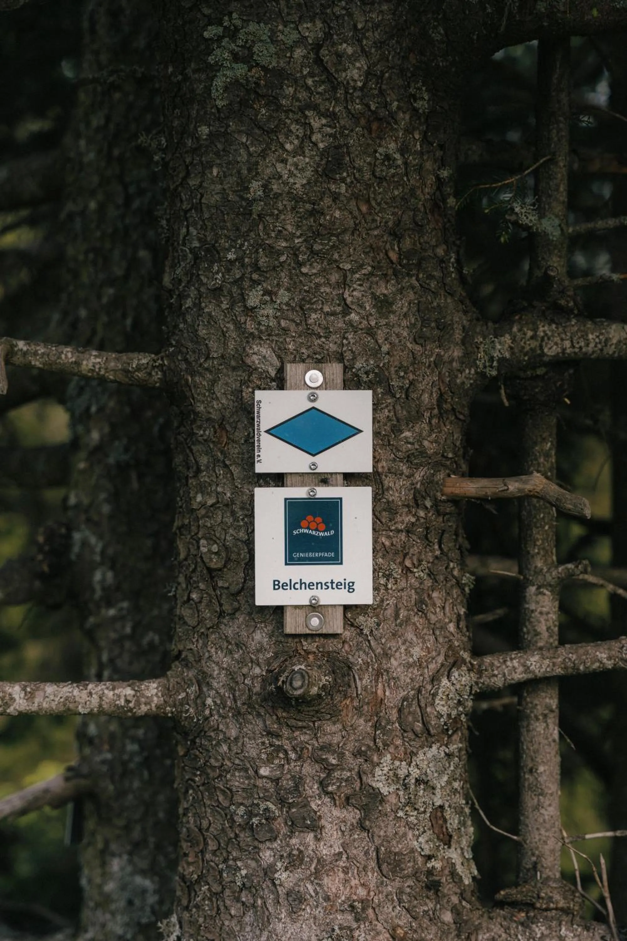 Berghotel Wiedener Eck