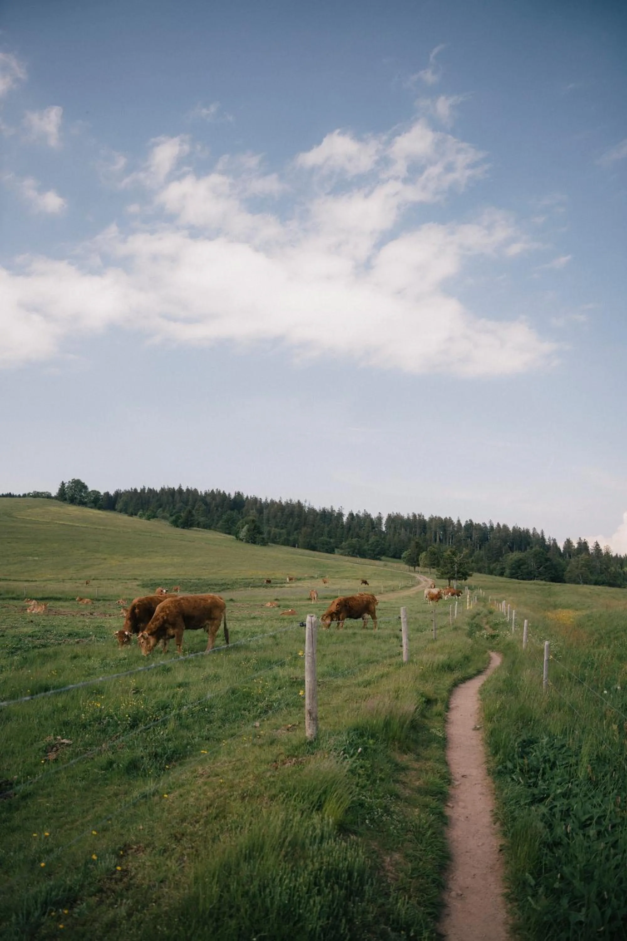 Berghotel Wiedener Eck