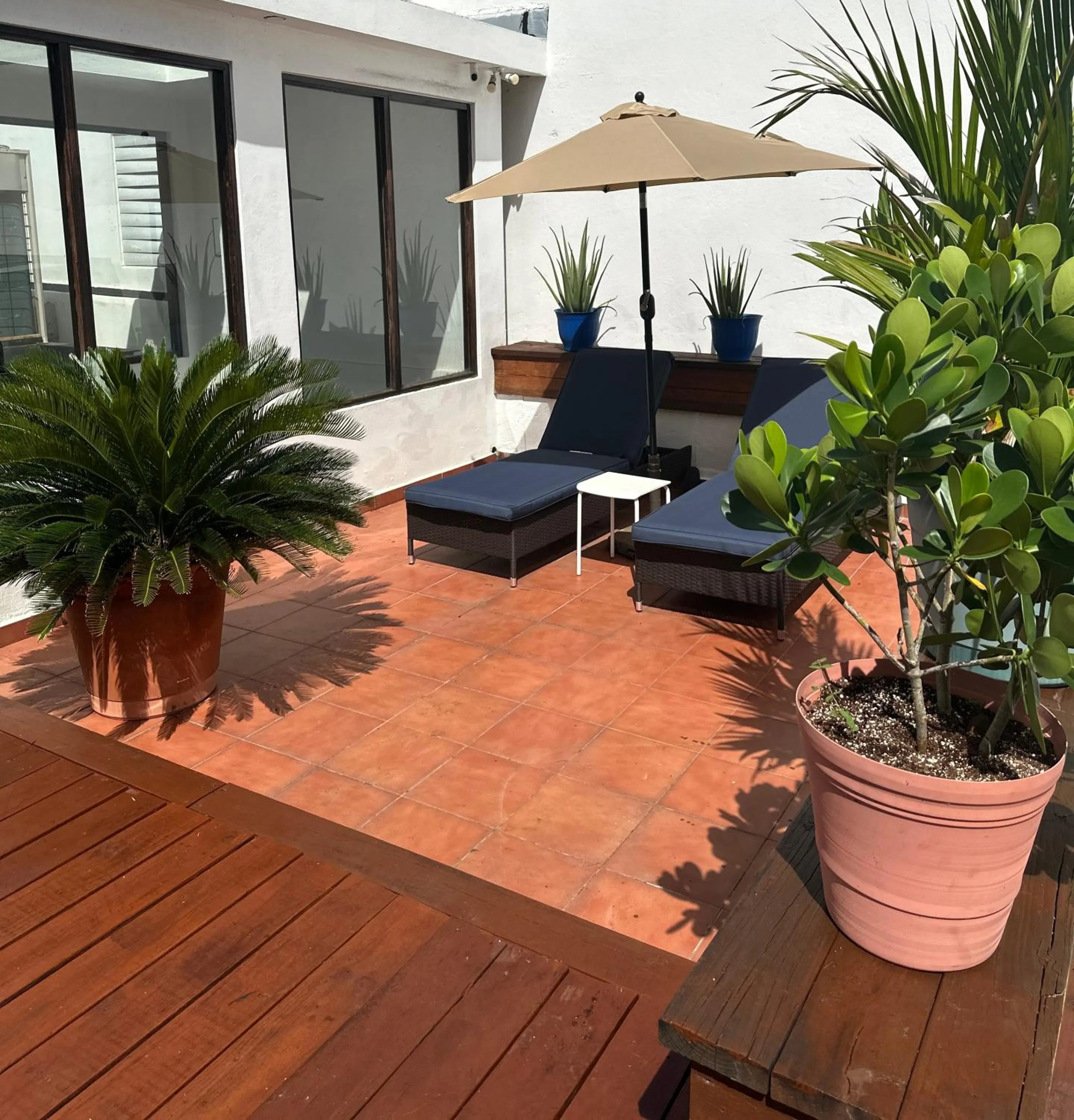 sunbed in 352 Guest House Hotel Boutique