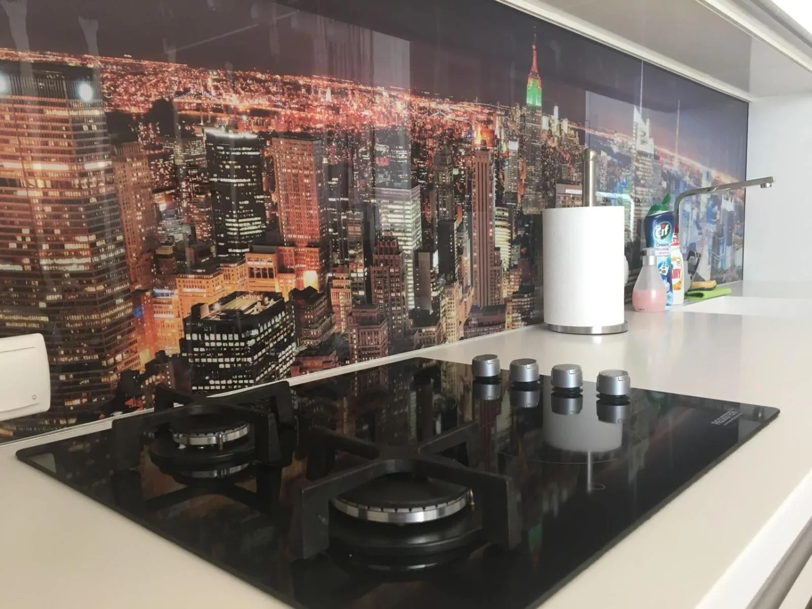 Kitchen or kitchenette in Top Level Residence