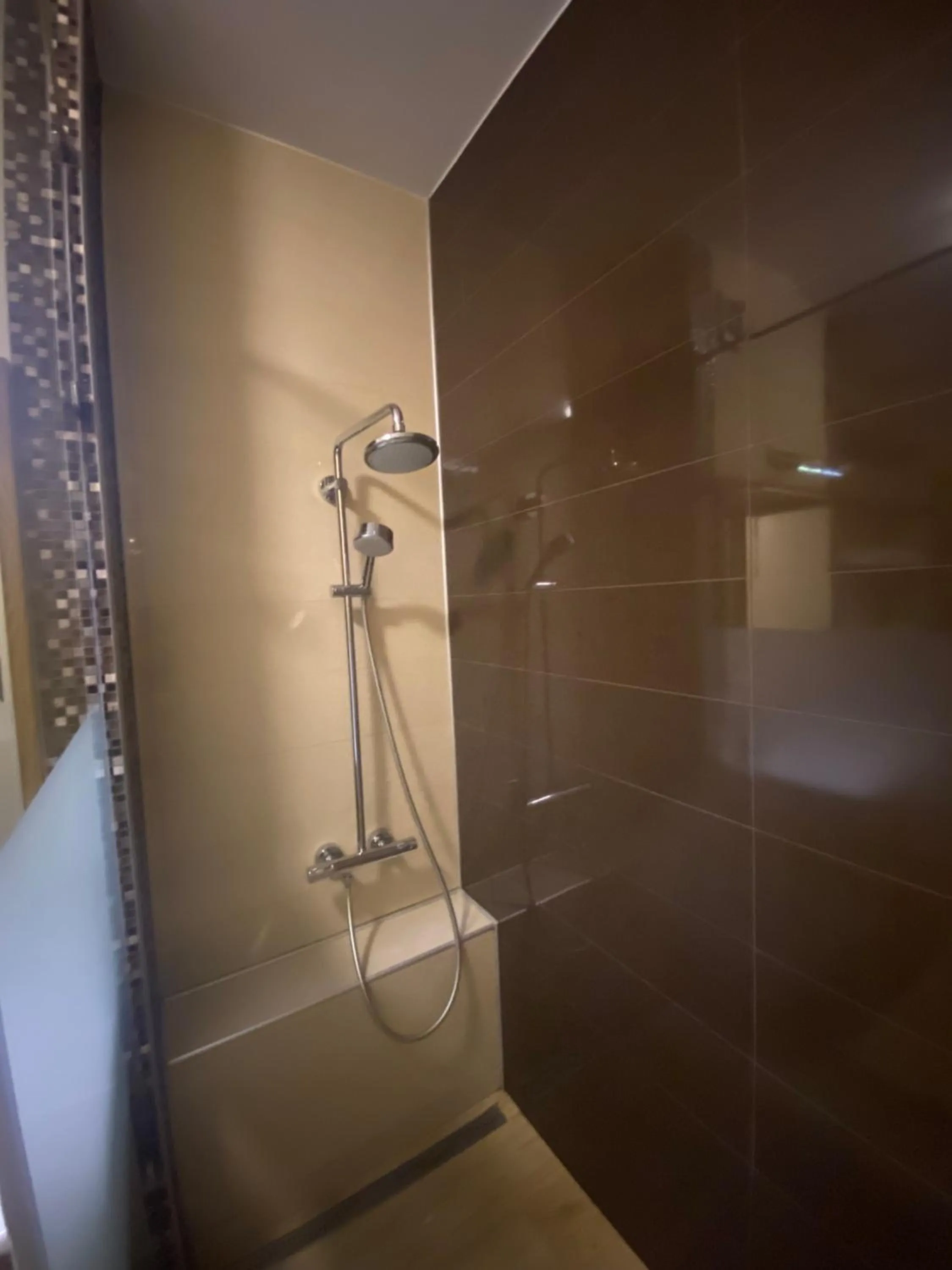 Shower in Top Level Residence