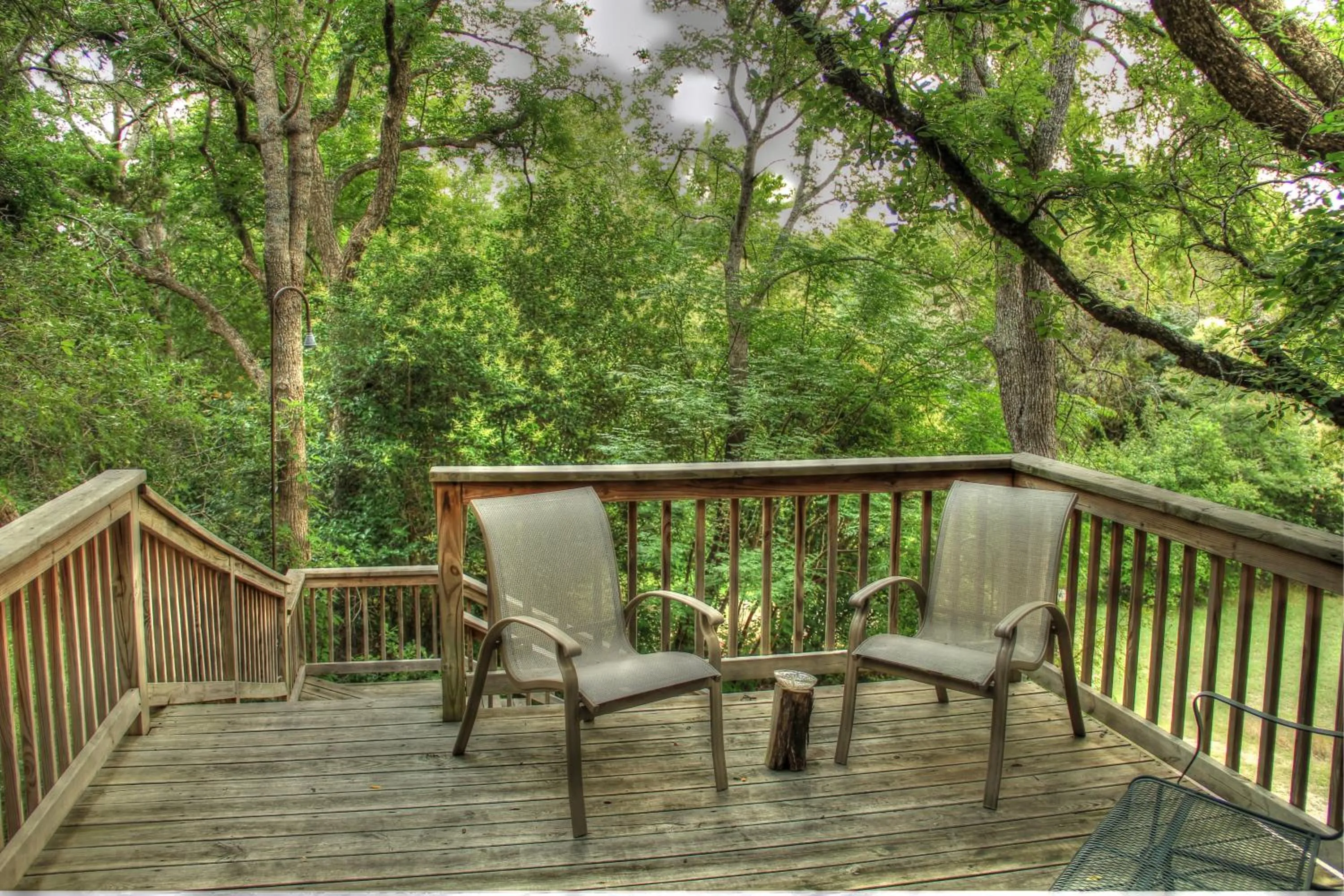 View (from property/room) in Bed and Breakfast on White Rock Creek