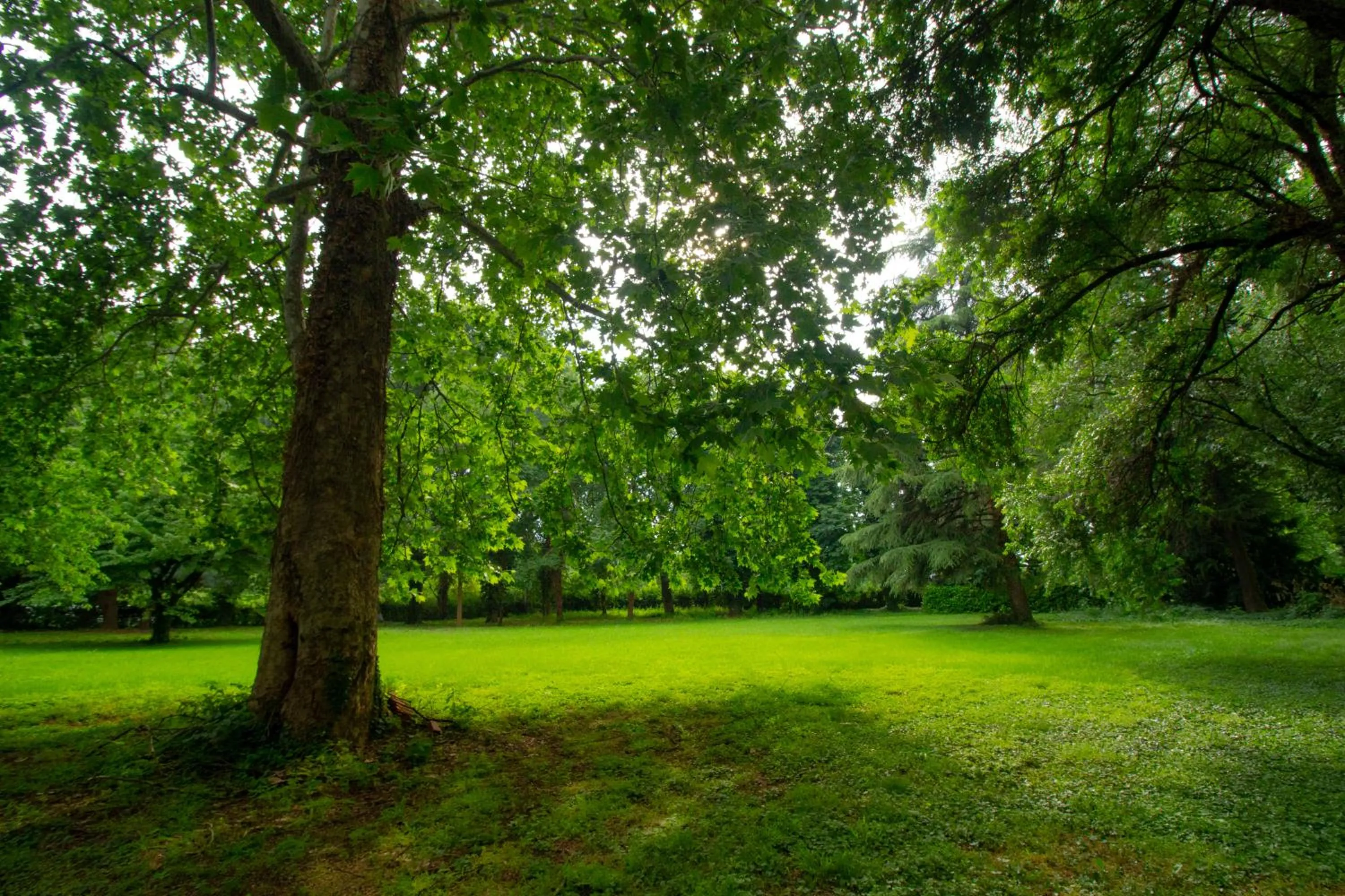 Garden view in B & B Villa dell’Usignolo
