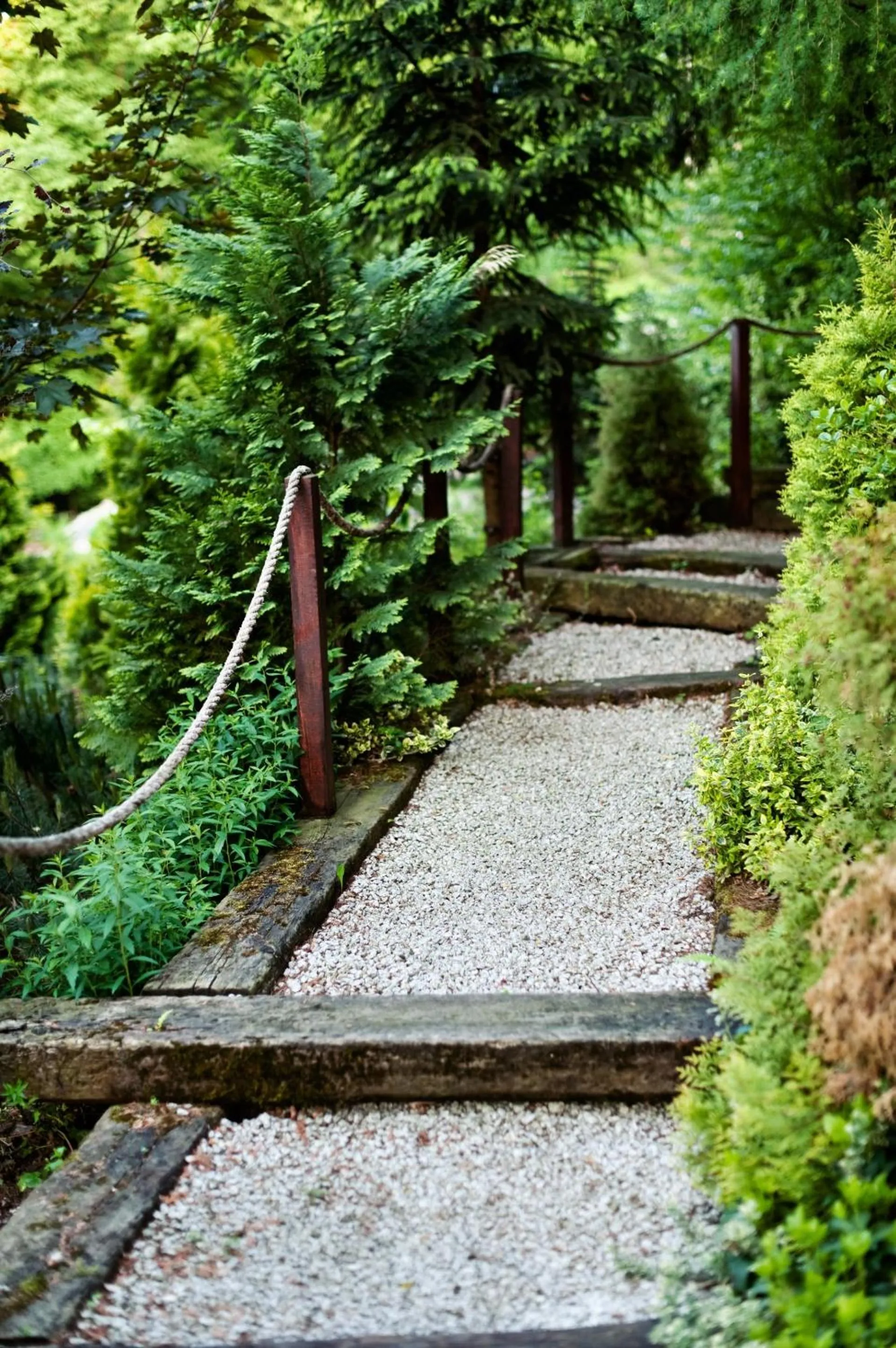 Natural landscape in Hotel Villa Bohema