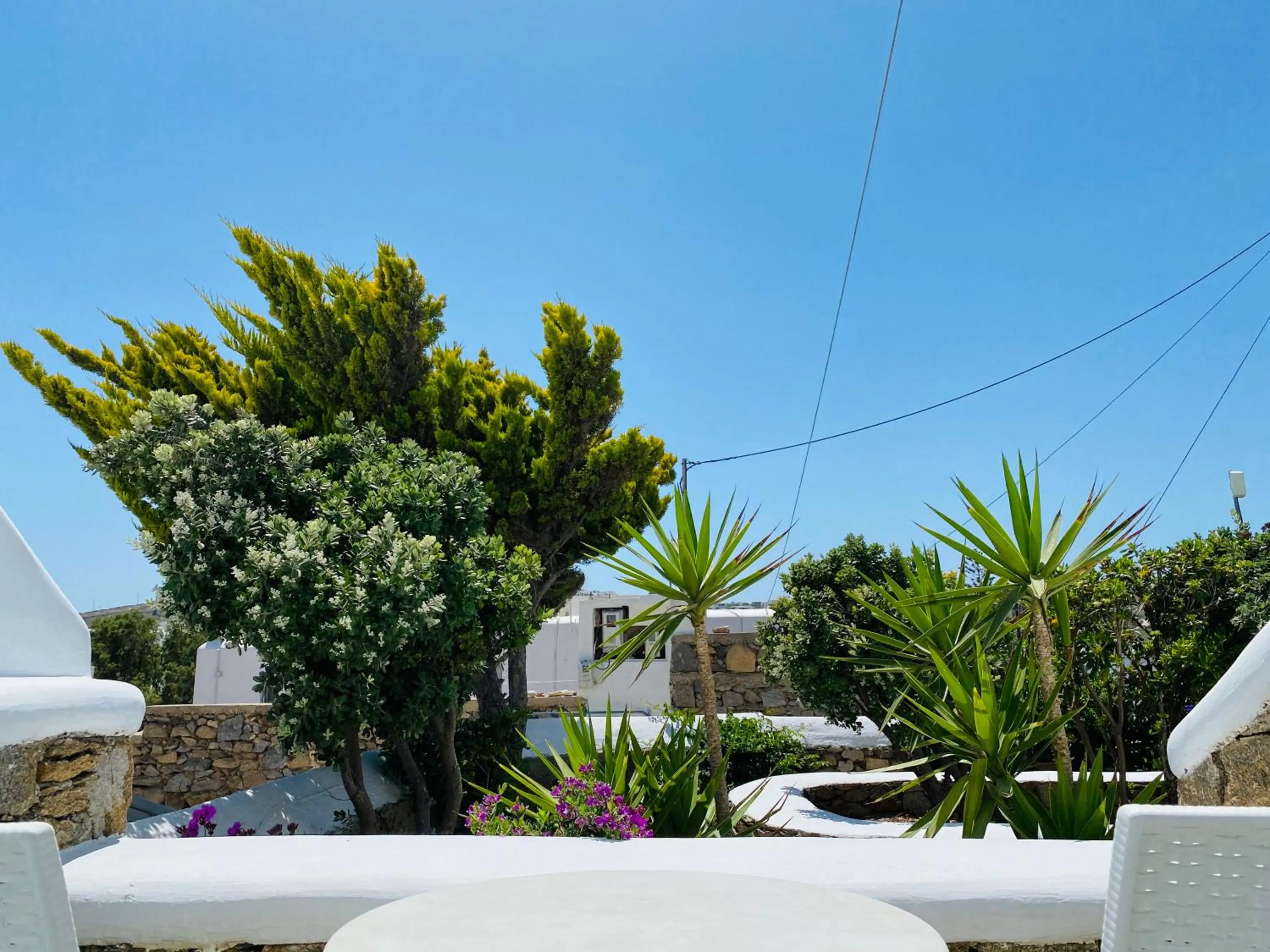 Garden in Eleftheria Hotel & Apartments