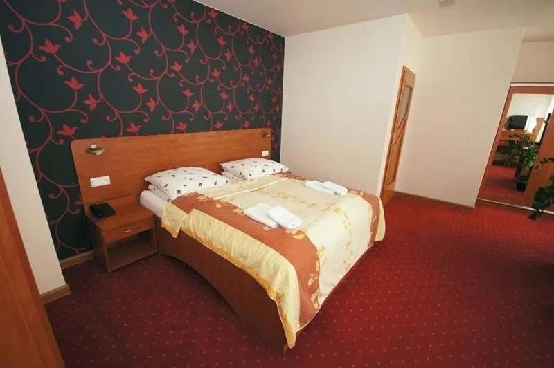 Photo of the whole room, Bed in Hotel Vega