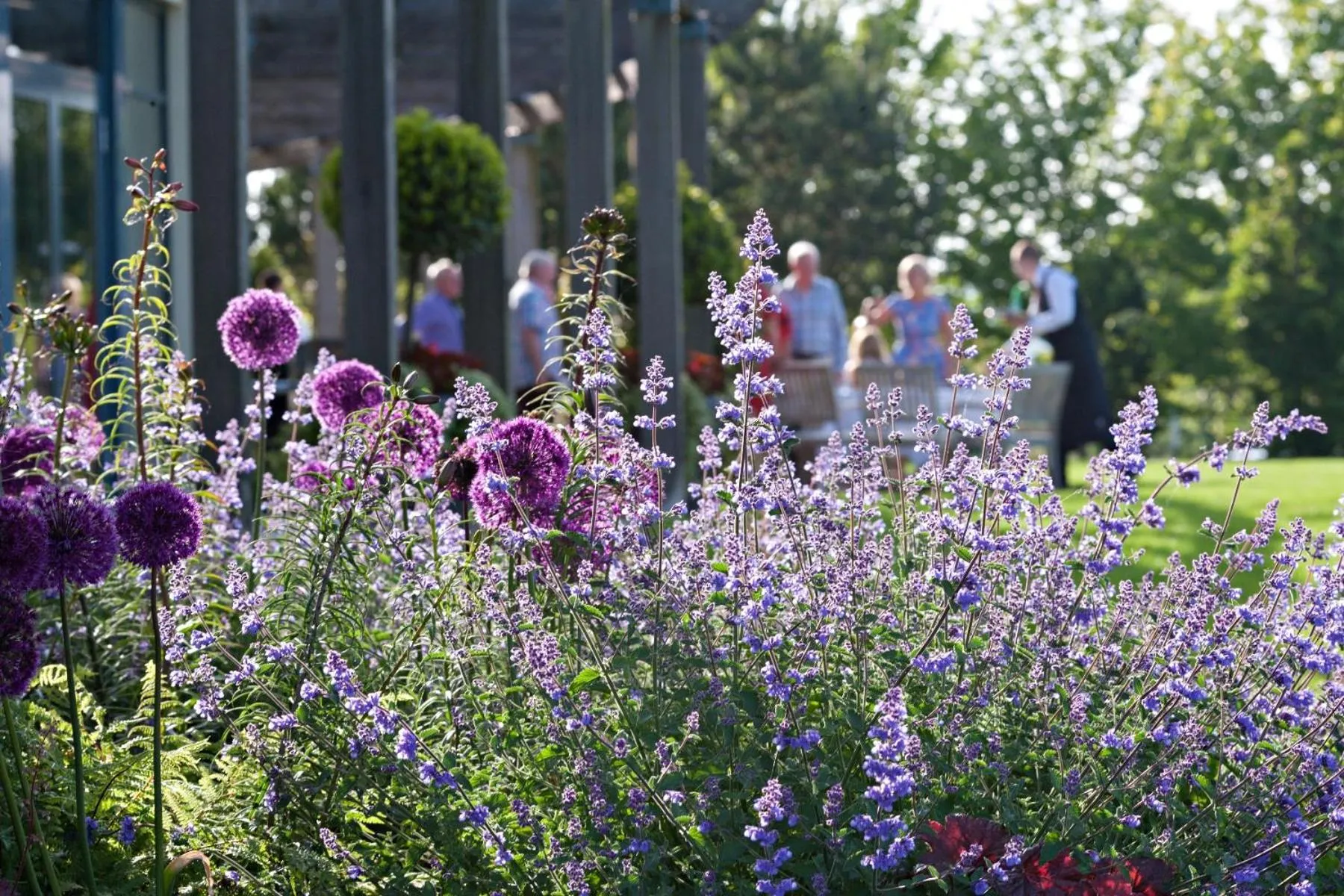 Garden in Fota Island Hotel and Spa