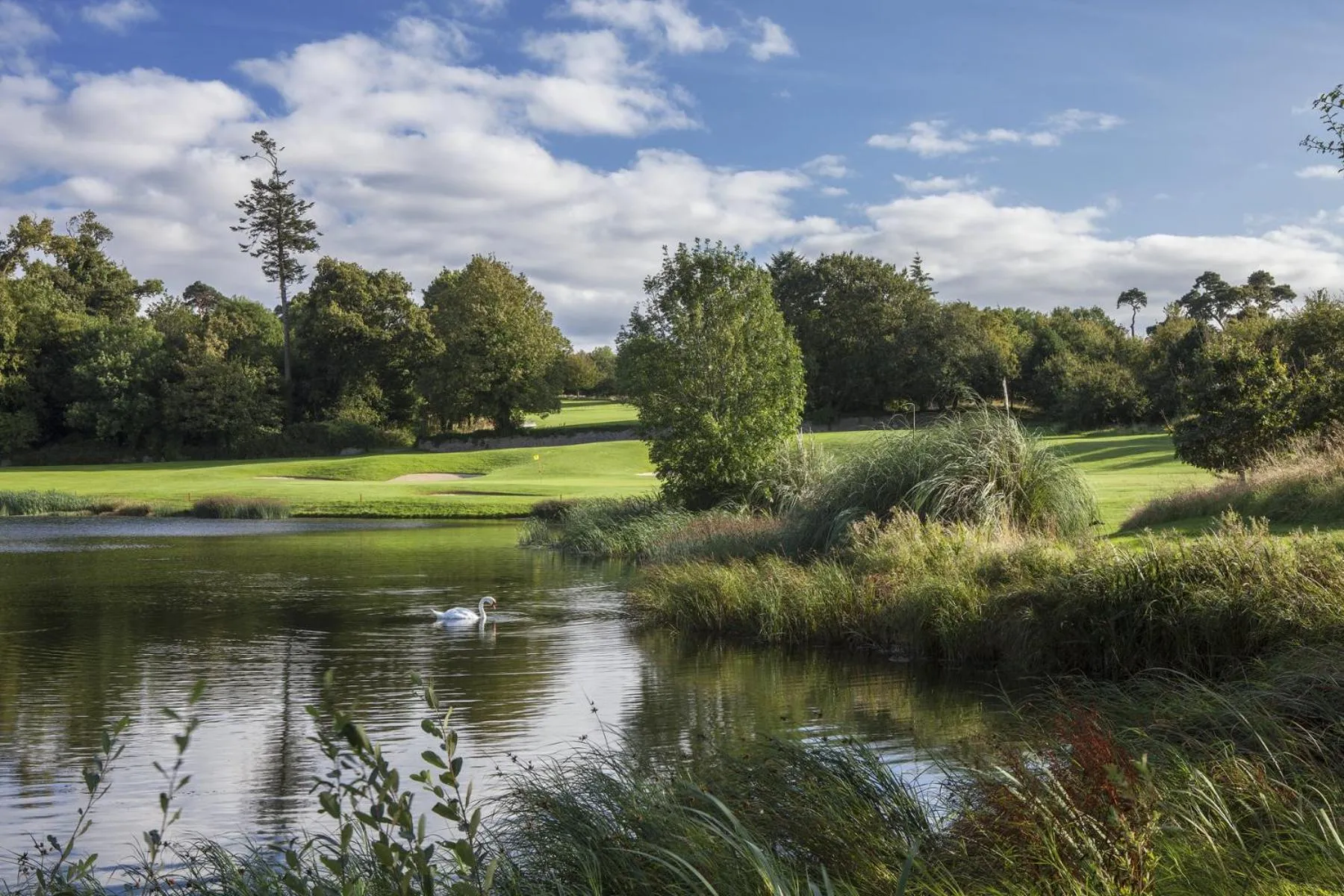 Natural landscape in Fota Island Hotel and Spa