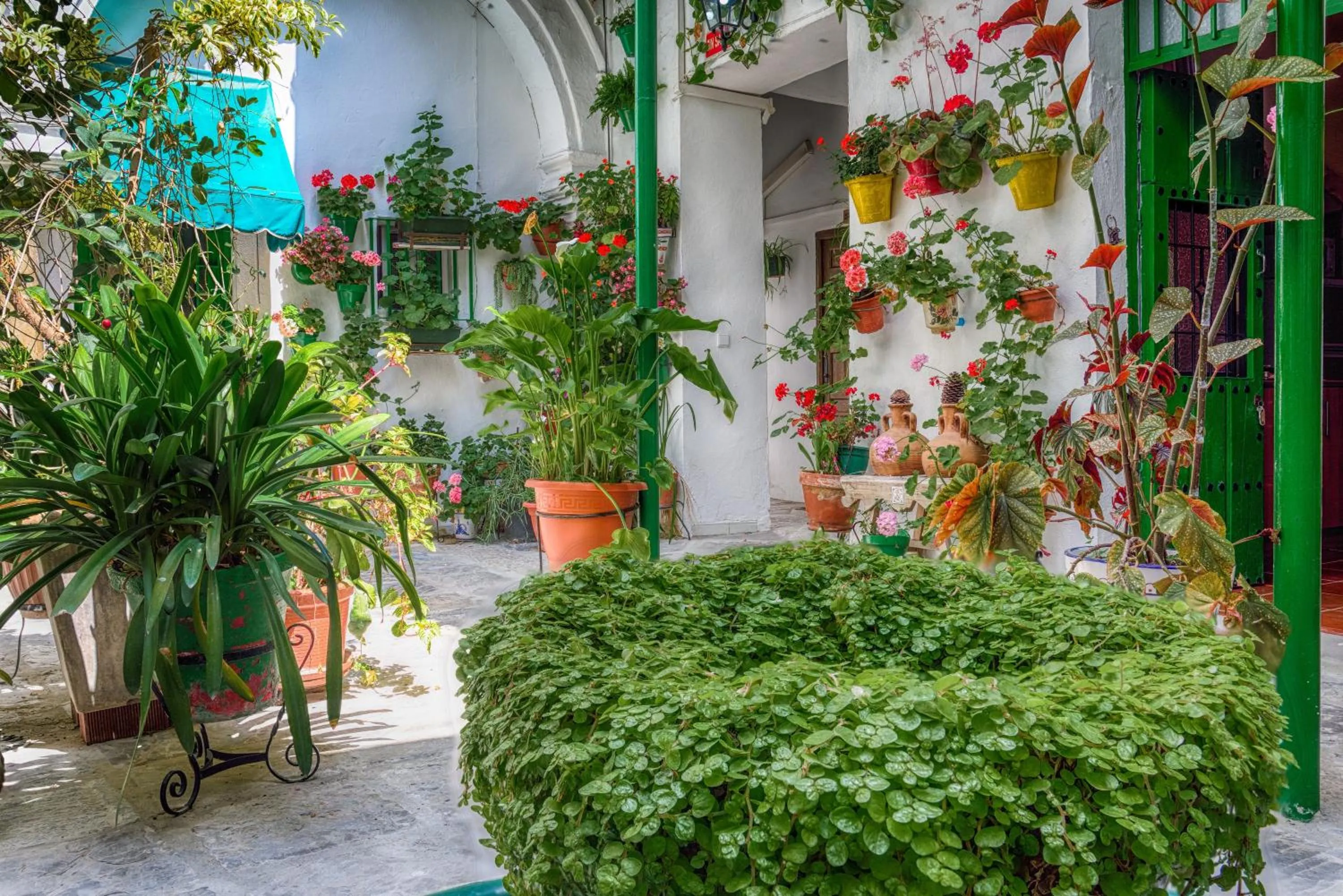 Patio in Apartamentos Jerez