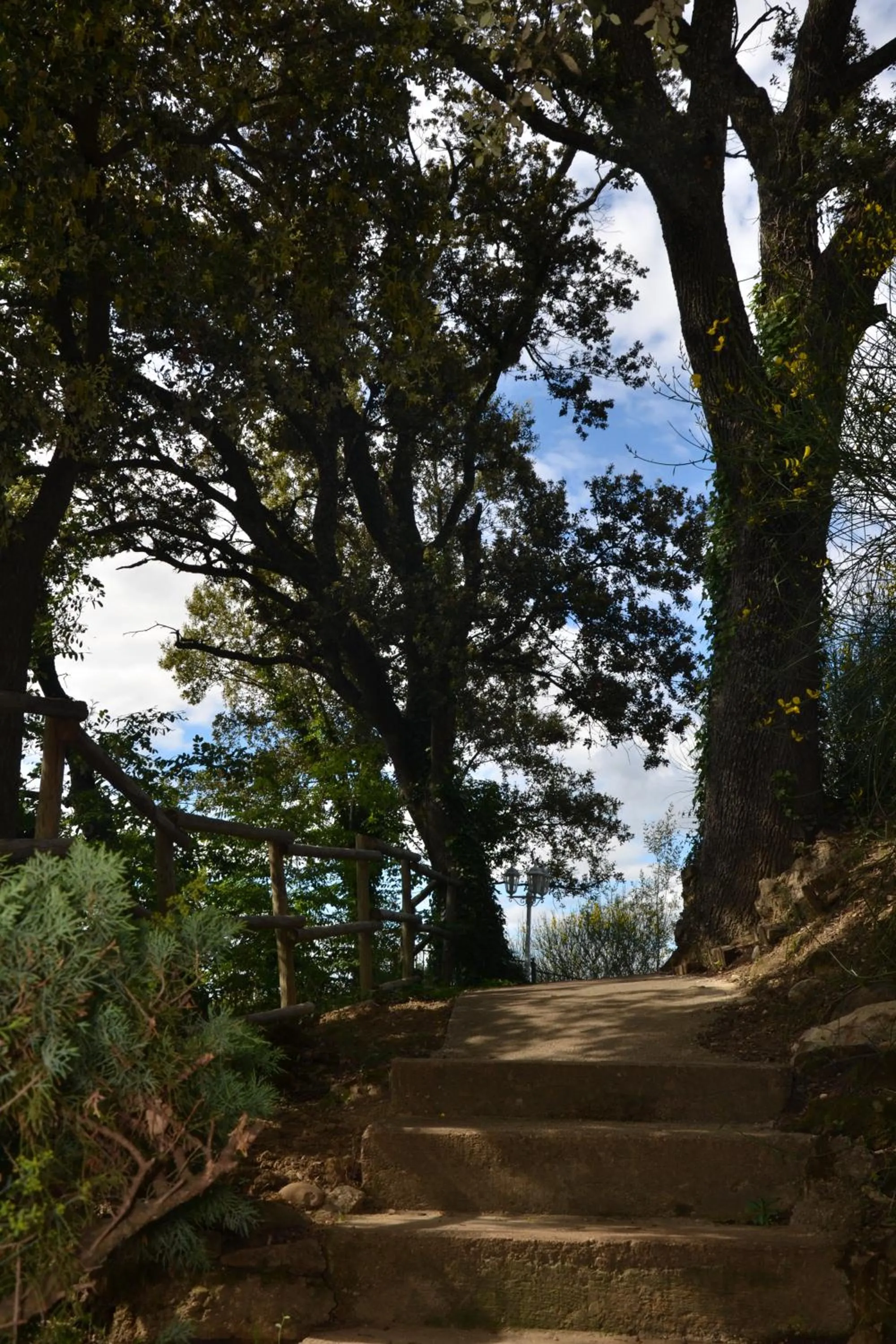 Garden view in Hôtel La Bastide de Vaison