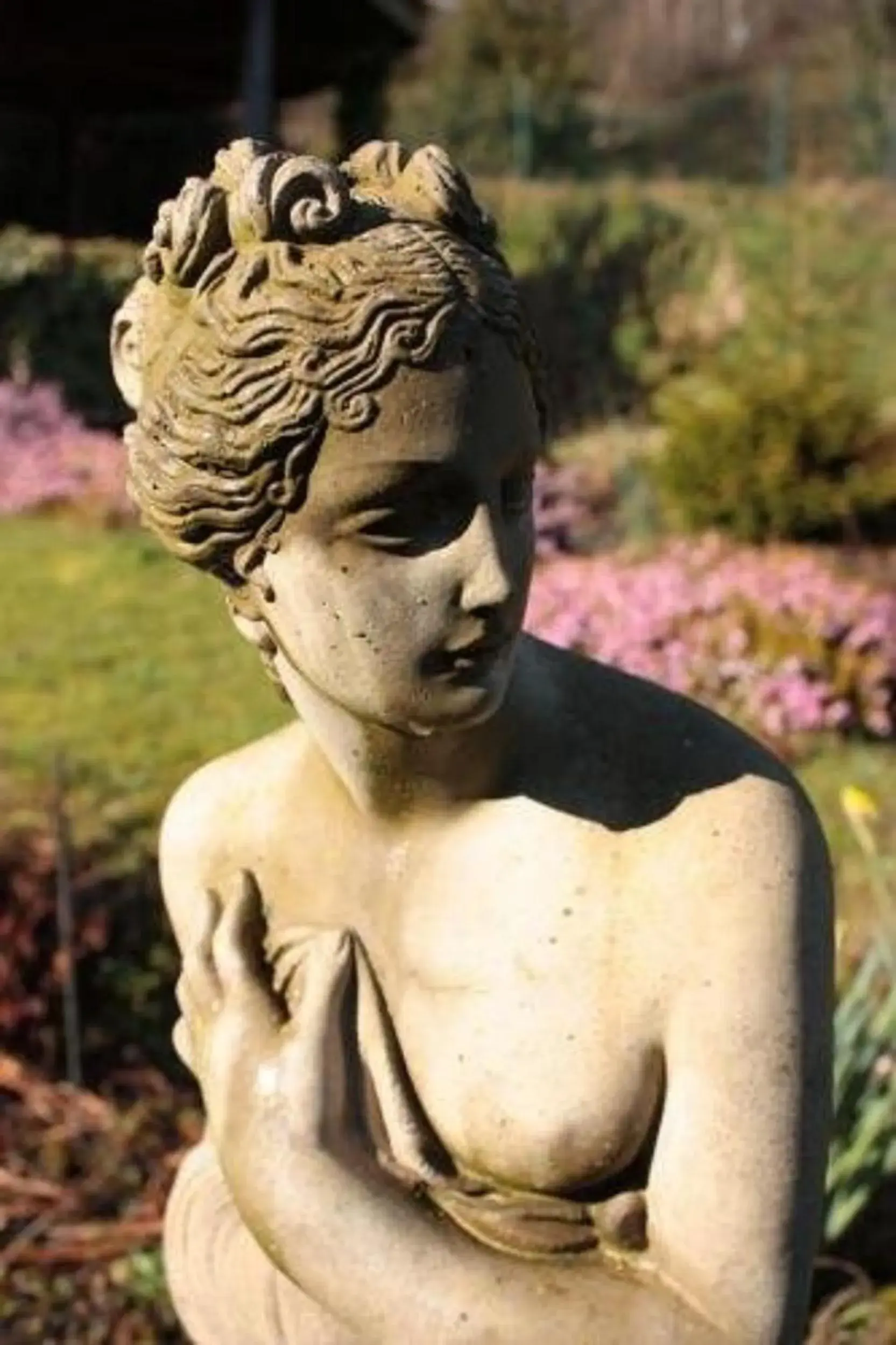 Single Room in Belvedere Lodge Single Room in Belvedere Lodge