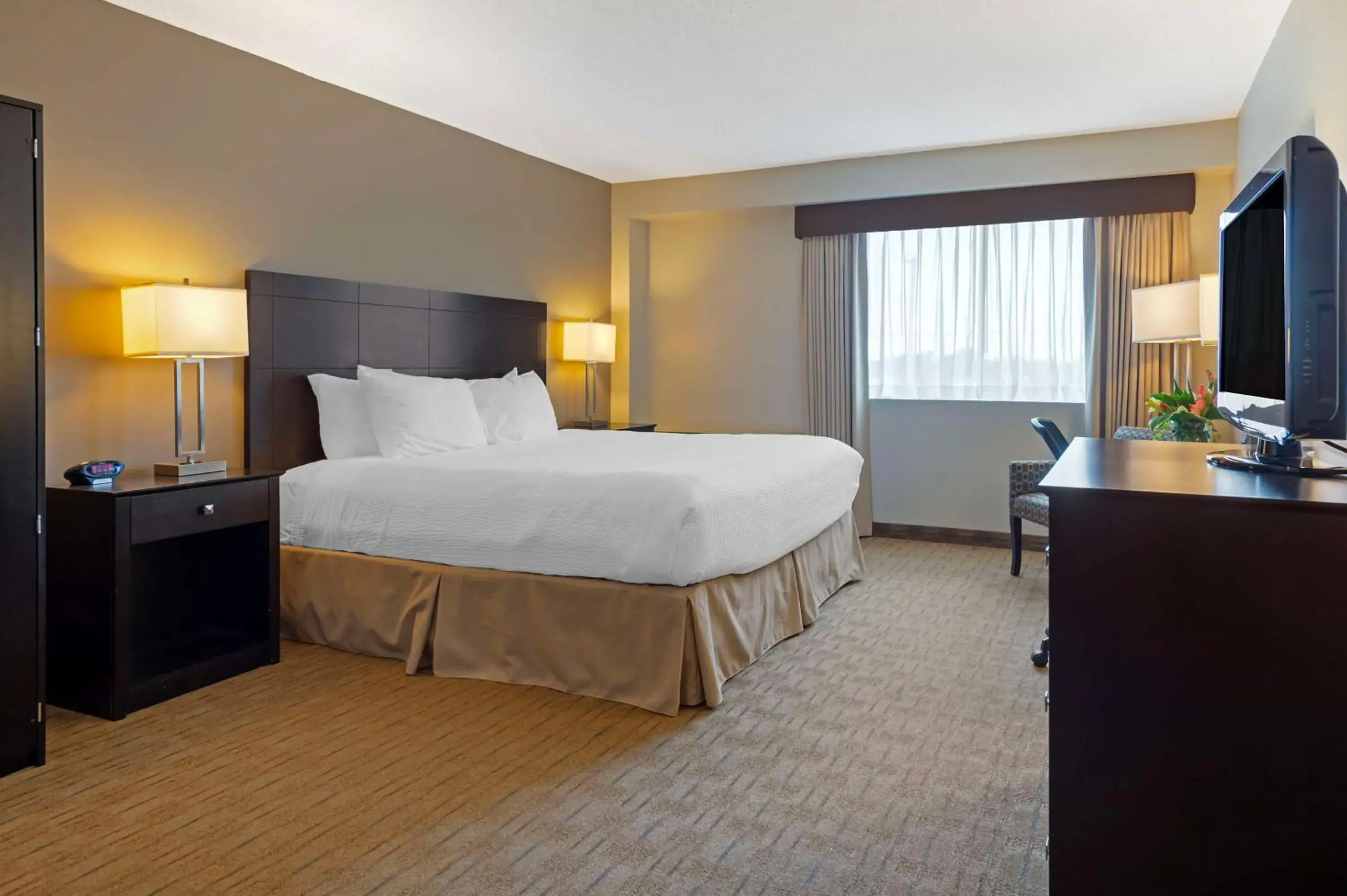 King Room - Mobility Accessible in Best Western Pembroke Inn & Conference Centre King Room - Mobility Accessible in Best Western Pembroke Inn & Conference Centre