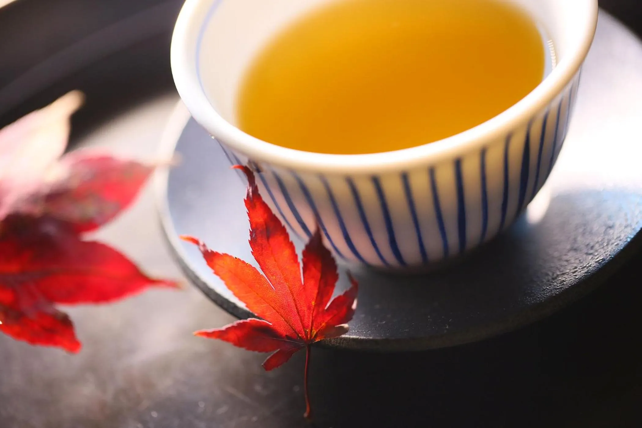 Ooedo Onsen Monogatari Premium Shiomiso