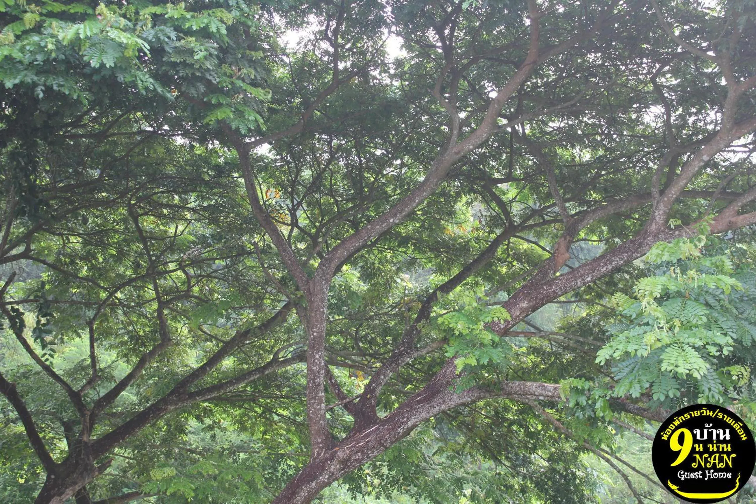 BAAN9NAN Guest Home in Nan City