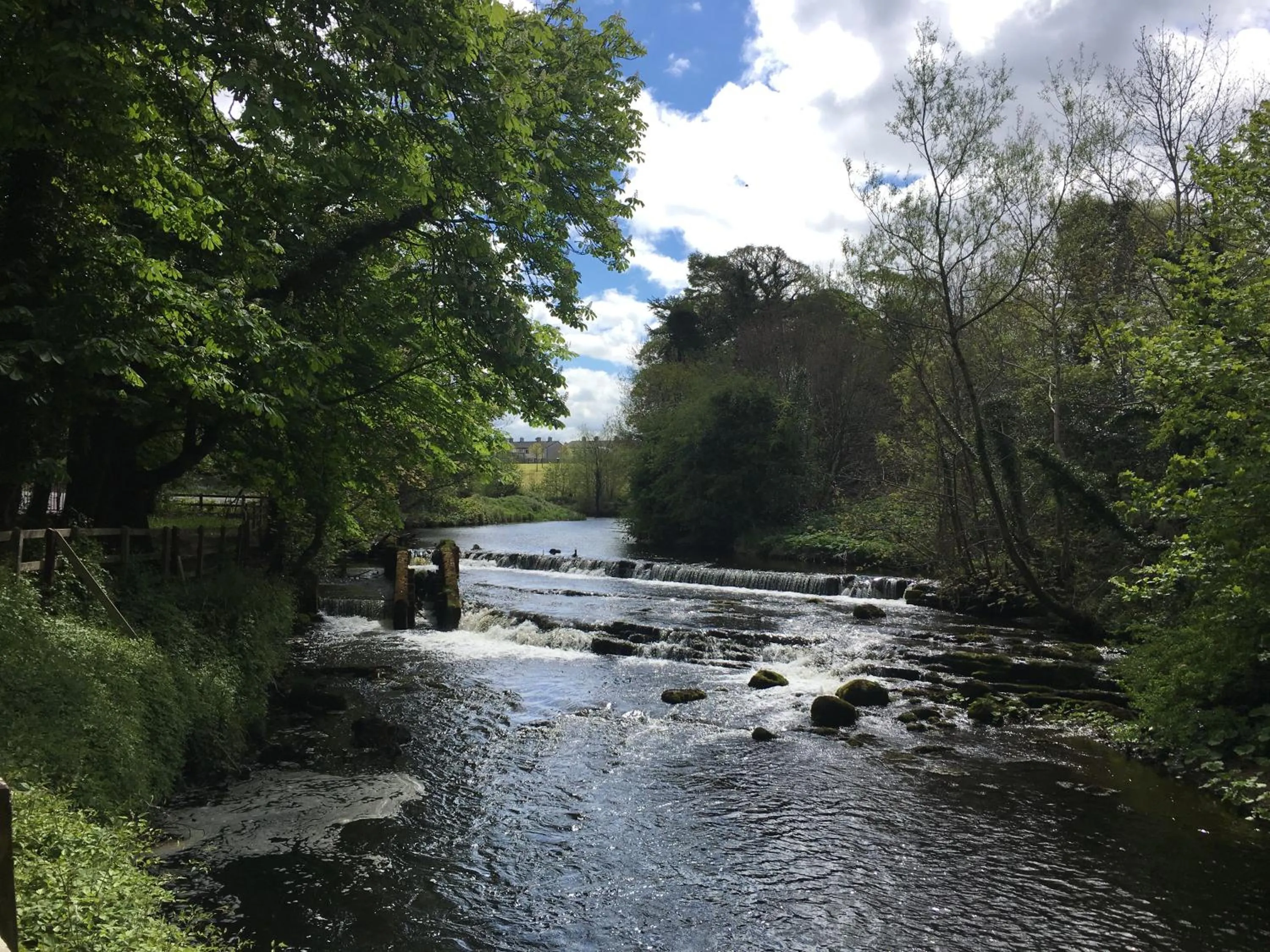 Location in Twin Trees Hotel & Brusna Falls Leisure