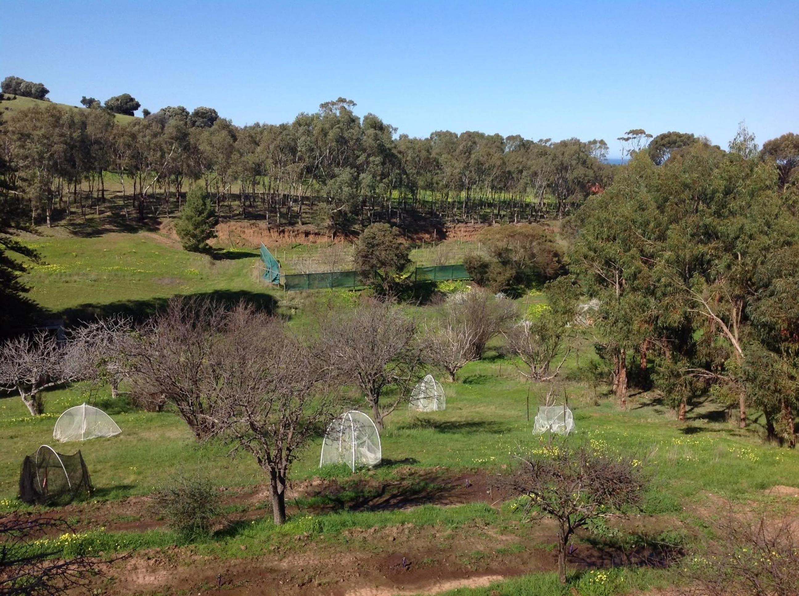 Port Elliot rural retreat