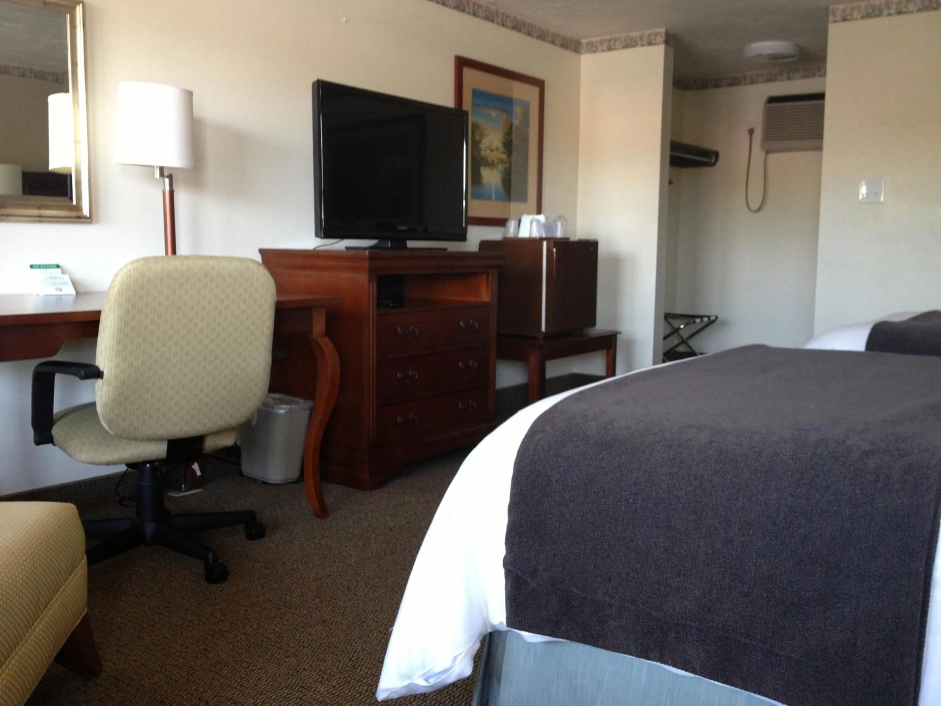 TV and multimedia, Bed in Holiday Hill Inn & Suites