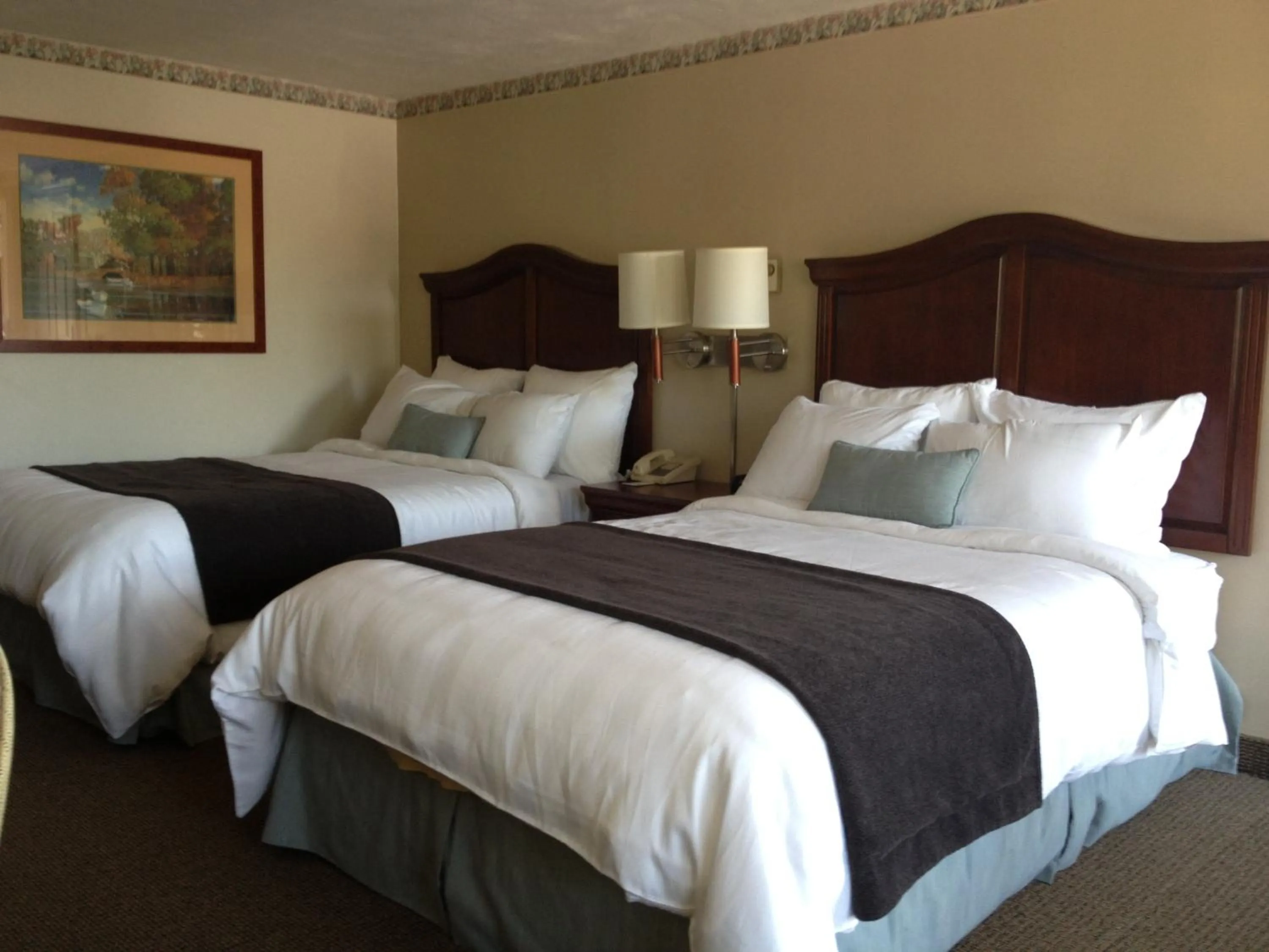 Bed in Holiday Hill Inn & Suites