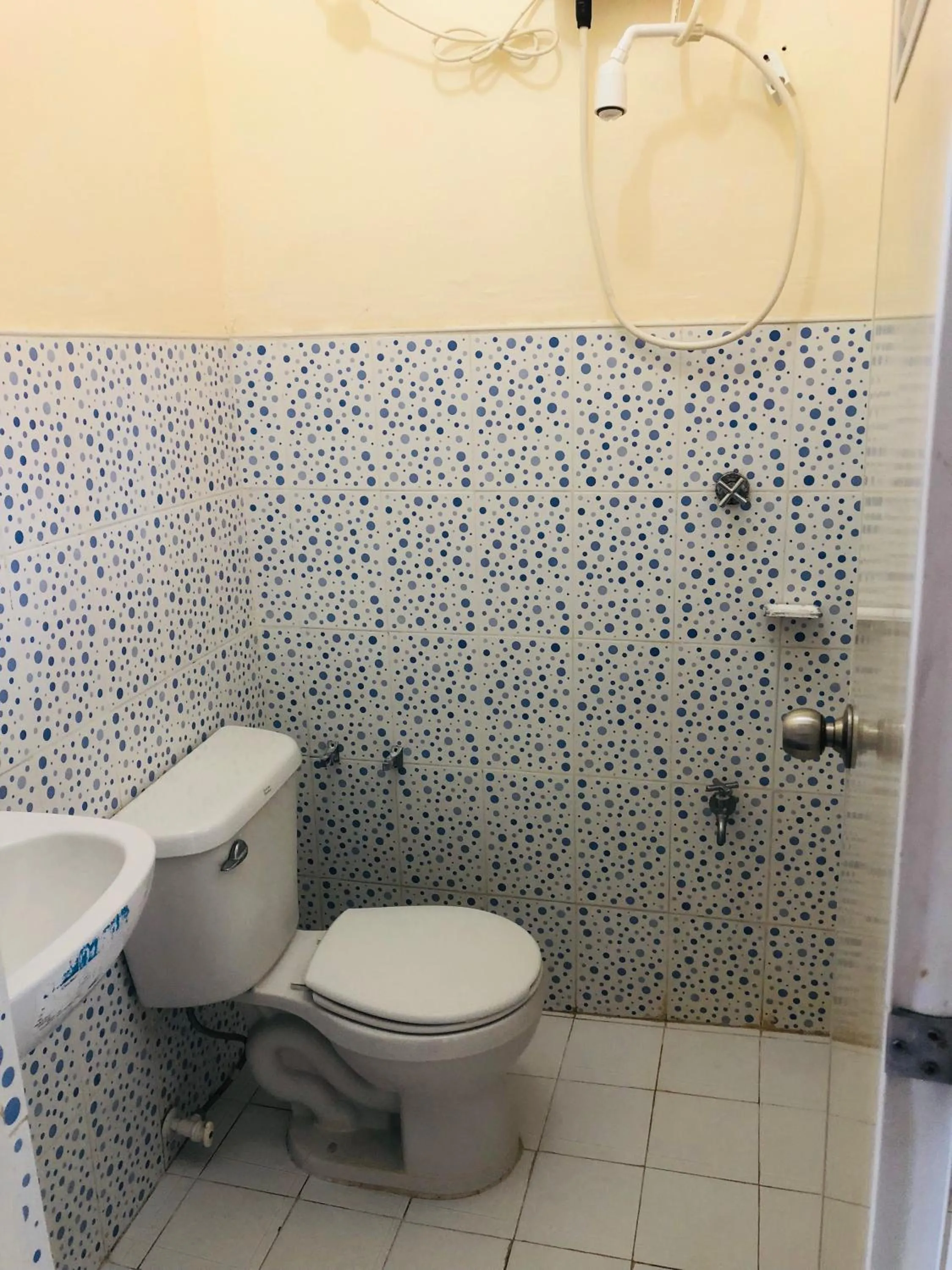 Edem Tourist Inn Malapascua