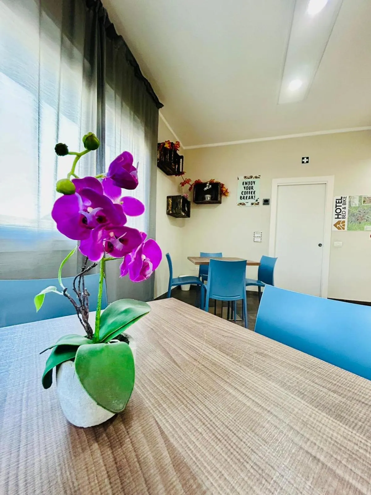 Area and facilities in Hotel Bed & Bike