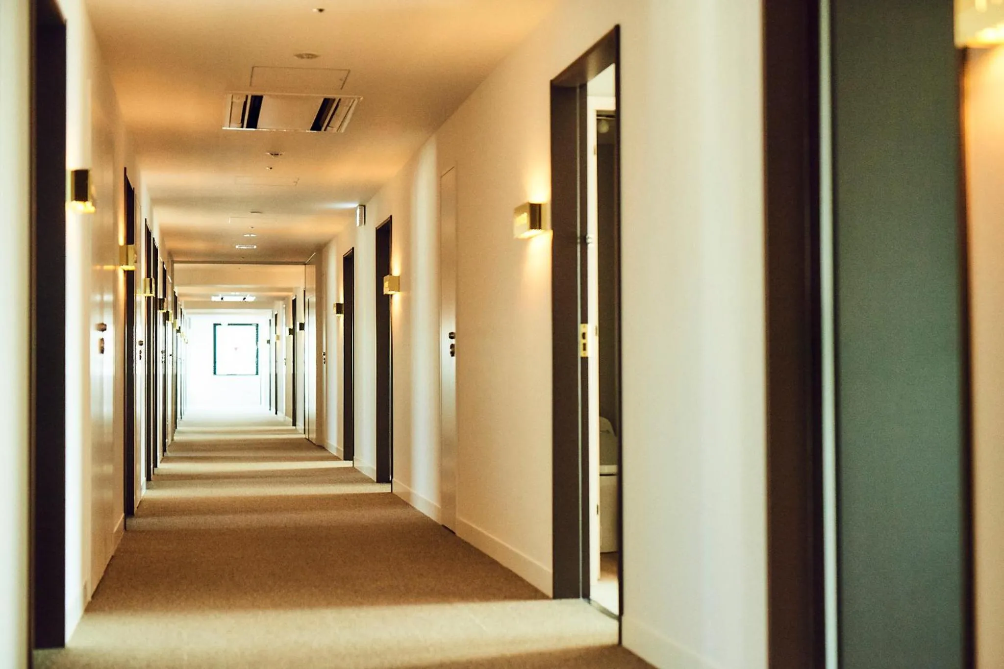 Area and facilities in Hotel It Osaka Shinmachi