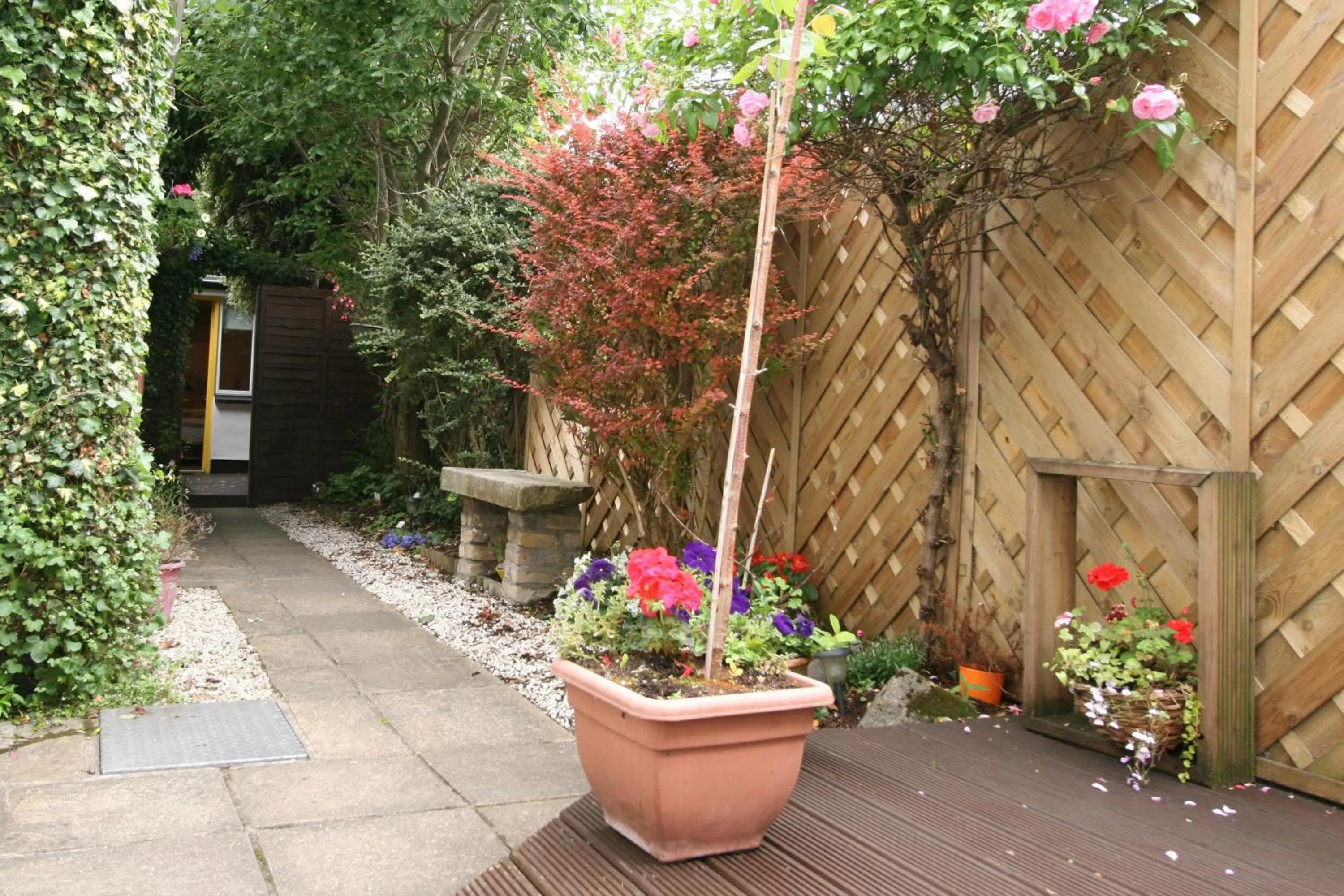 Garden in Donnybrook Hall