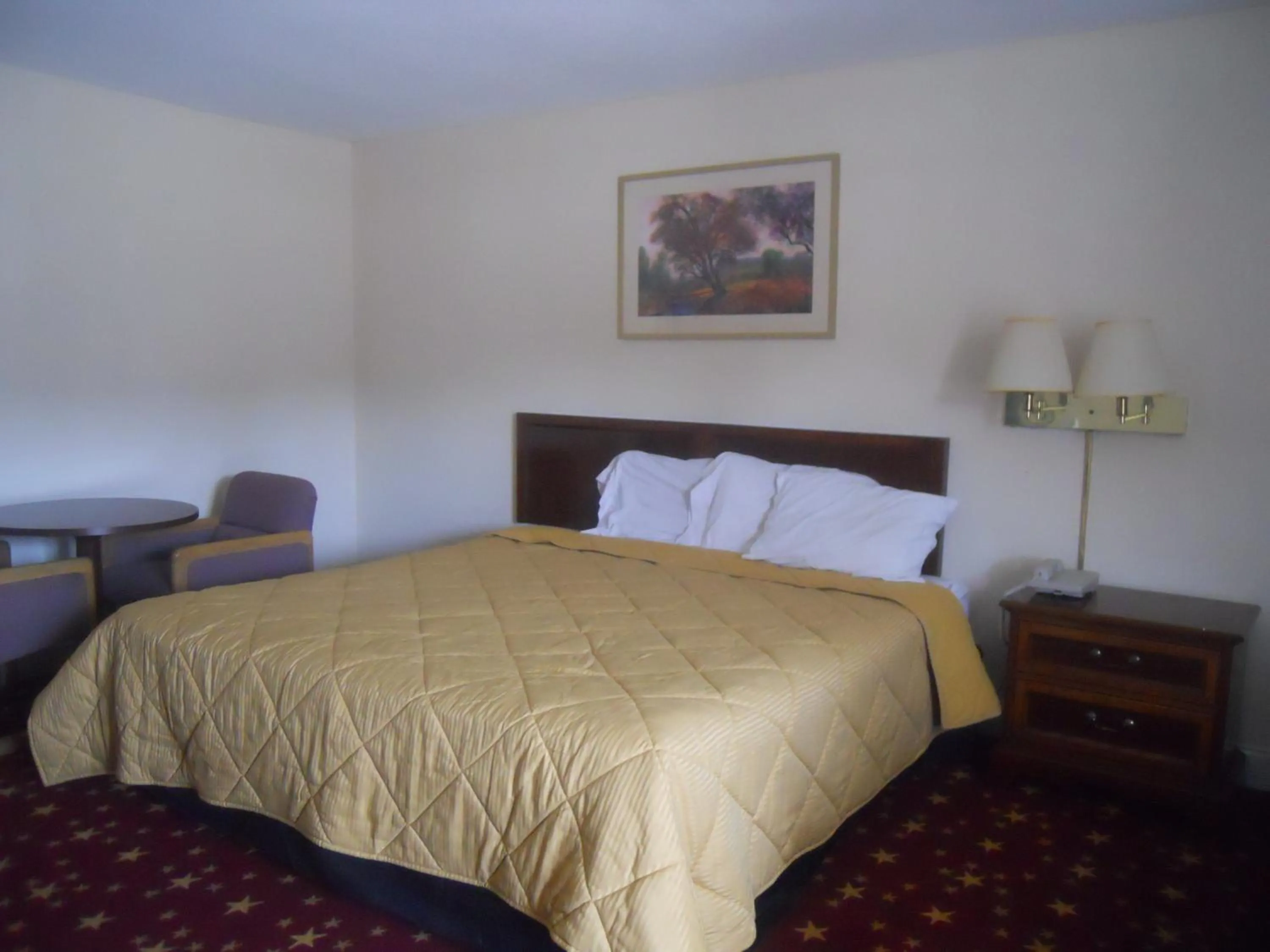 Bedroom in Cascades Motel - Chattanooga