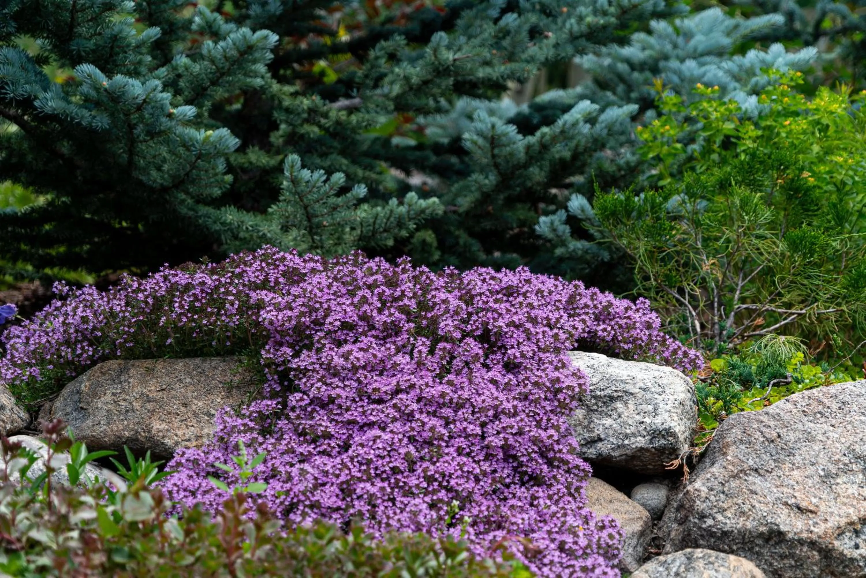 Garden in Spirit Lake Lodge