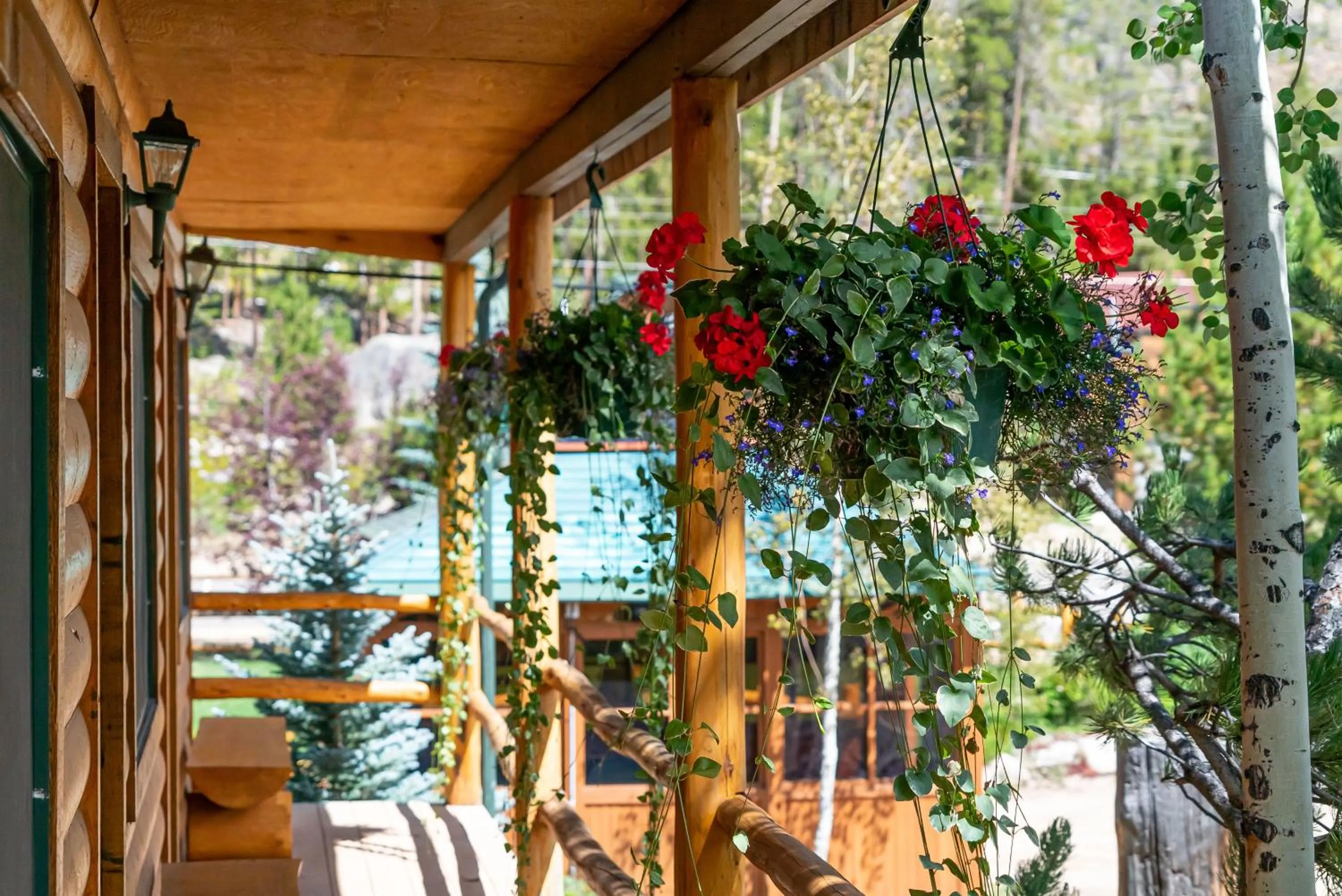 Balcony/Terrace in Spirit Lake Lodge
