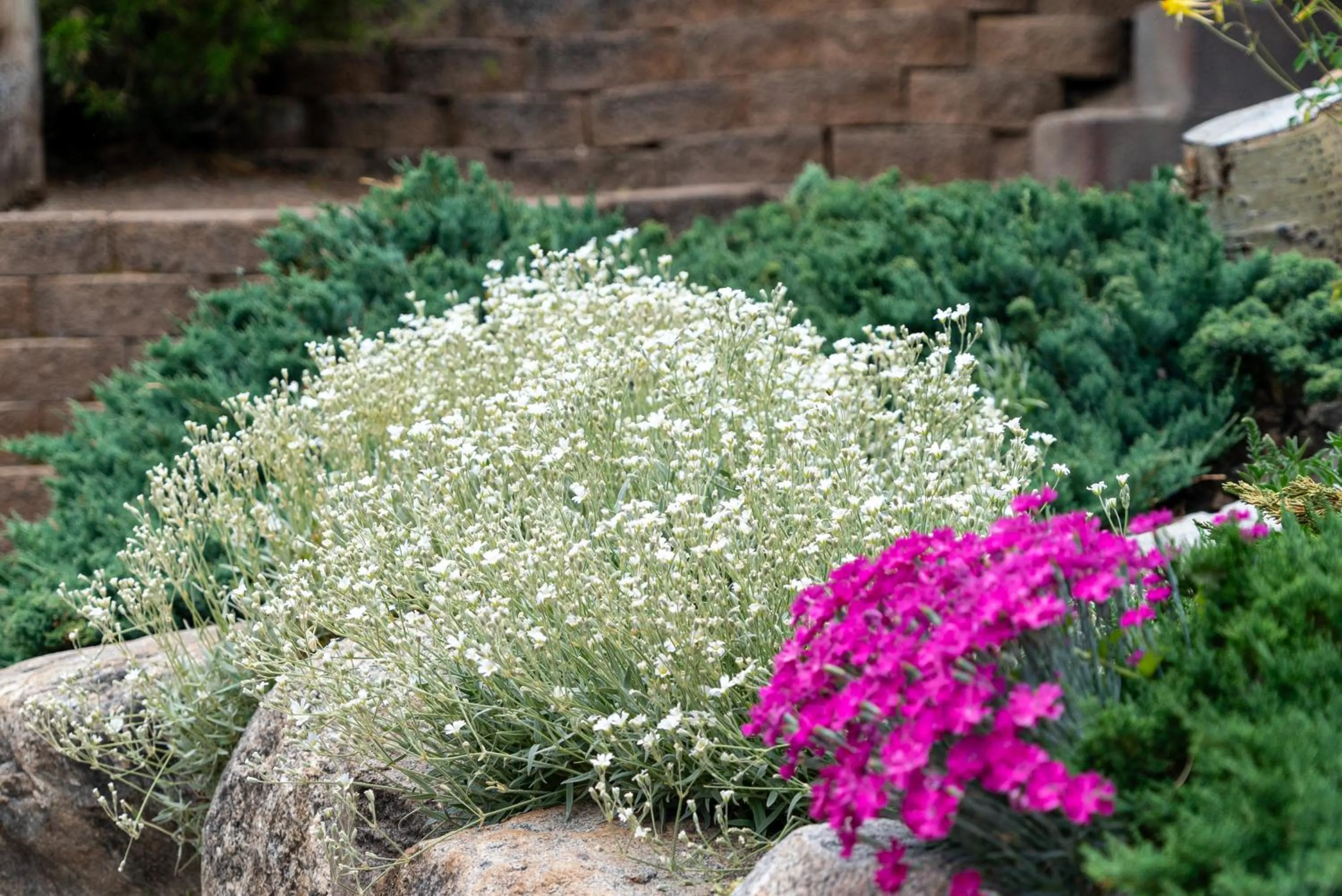 Garden in Spirit Lake Lodge