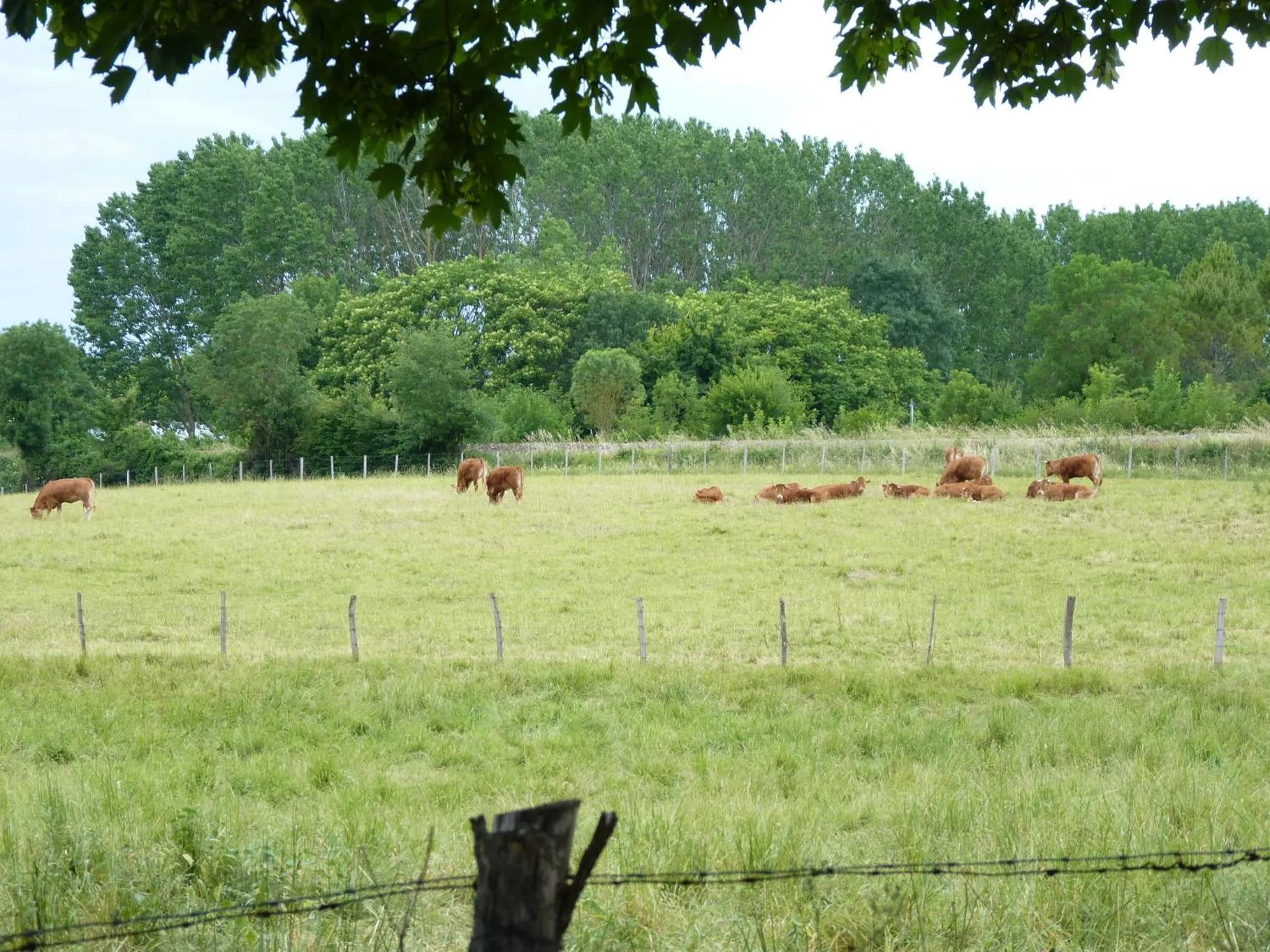 Natural landscape in La Laiterie du Logis
