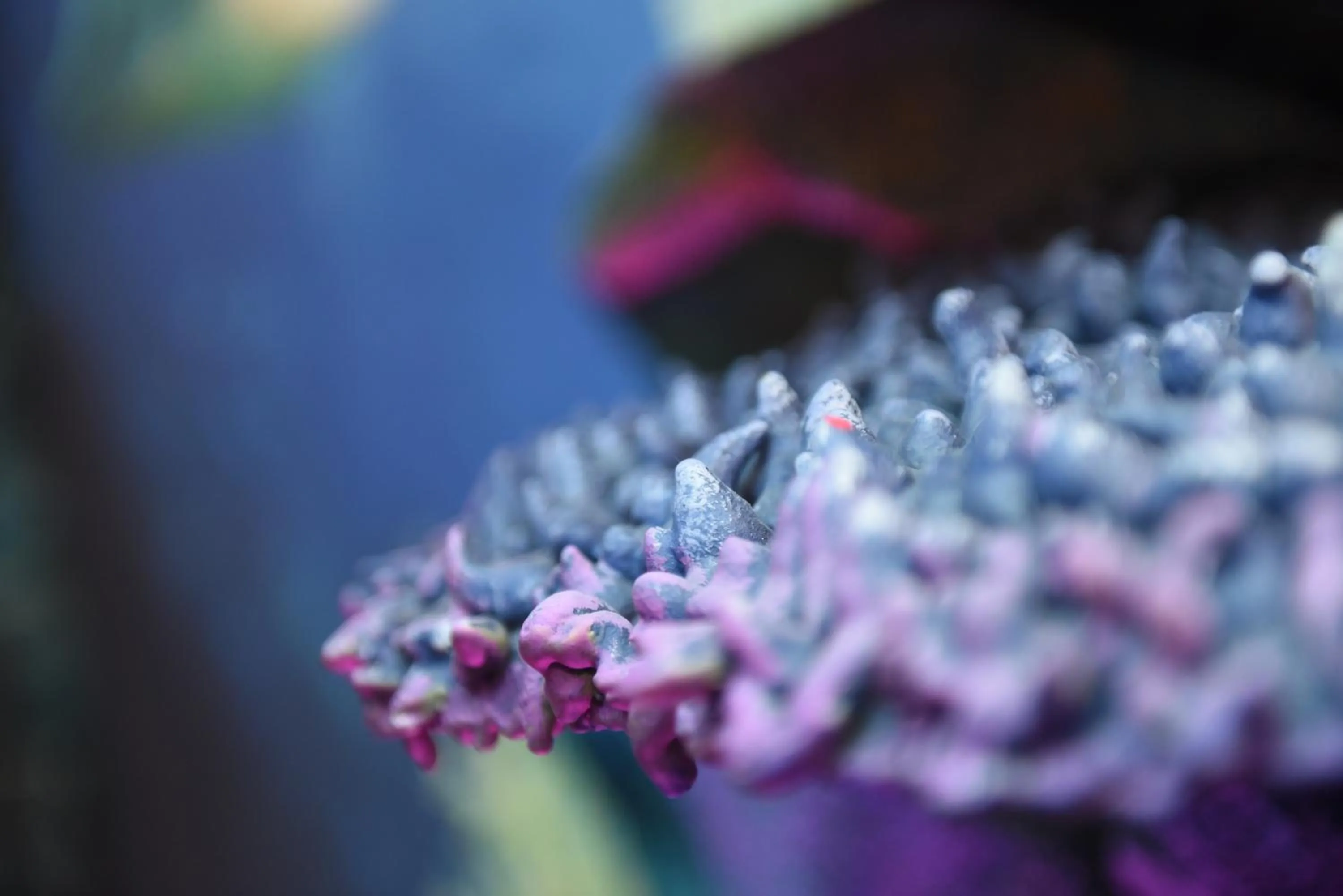 MagicSuite Guest House Roma Portuense