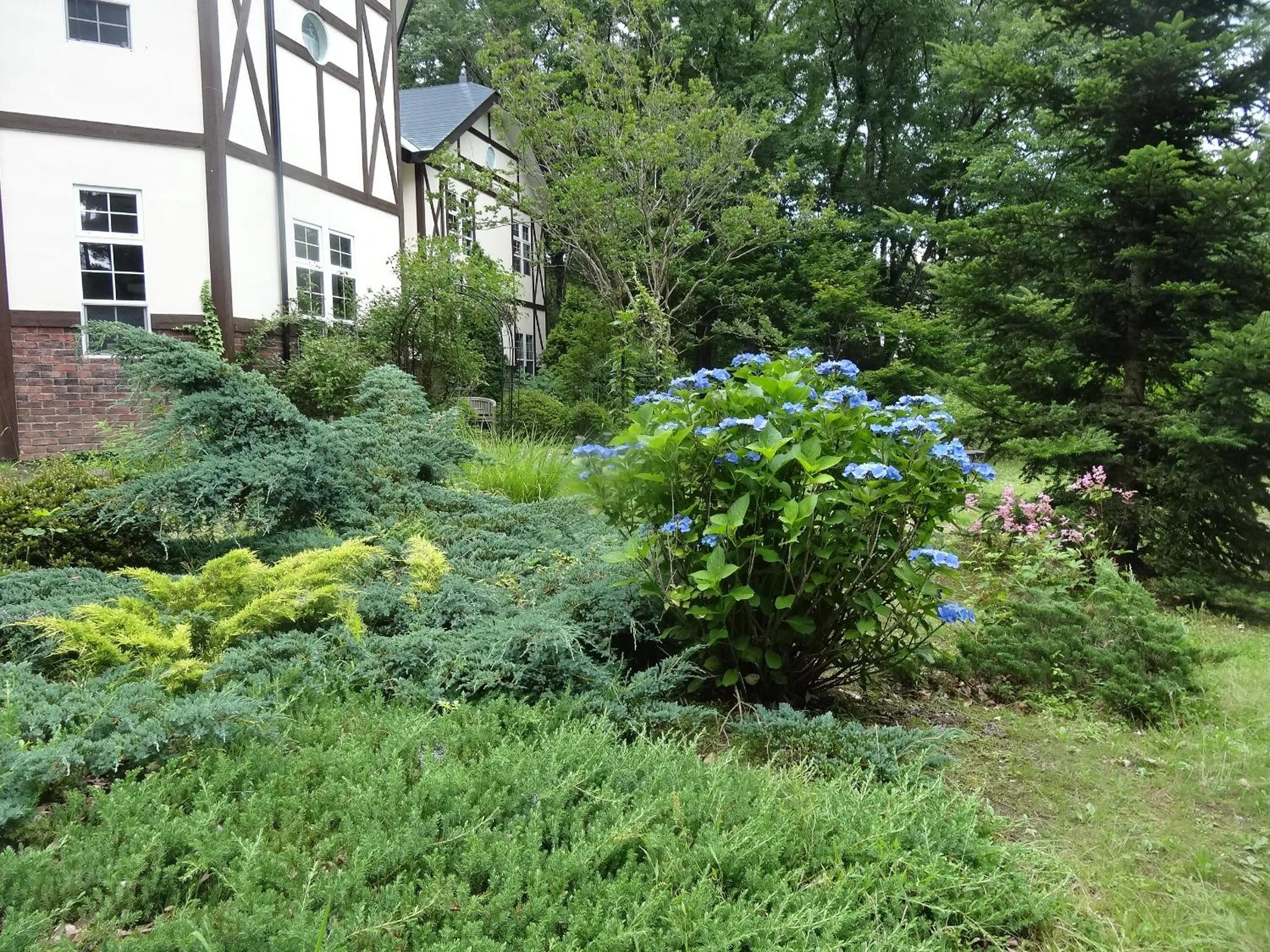 Garden in Gasthof Arutany