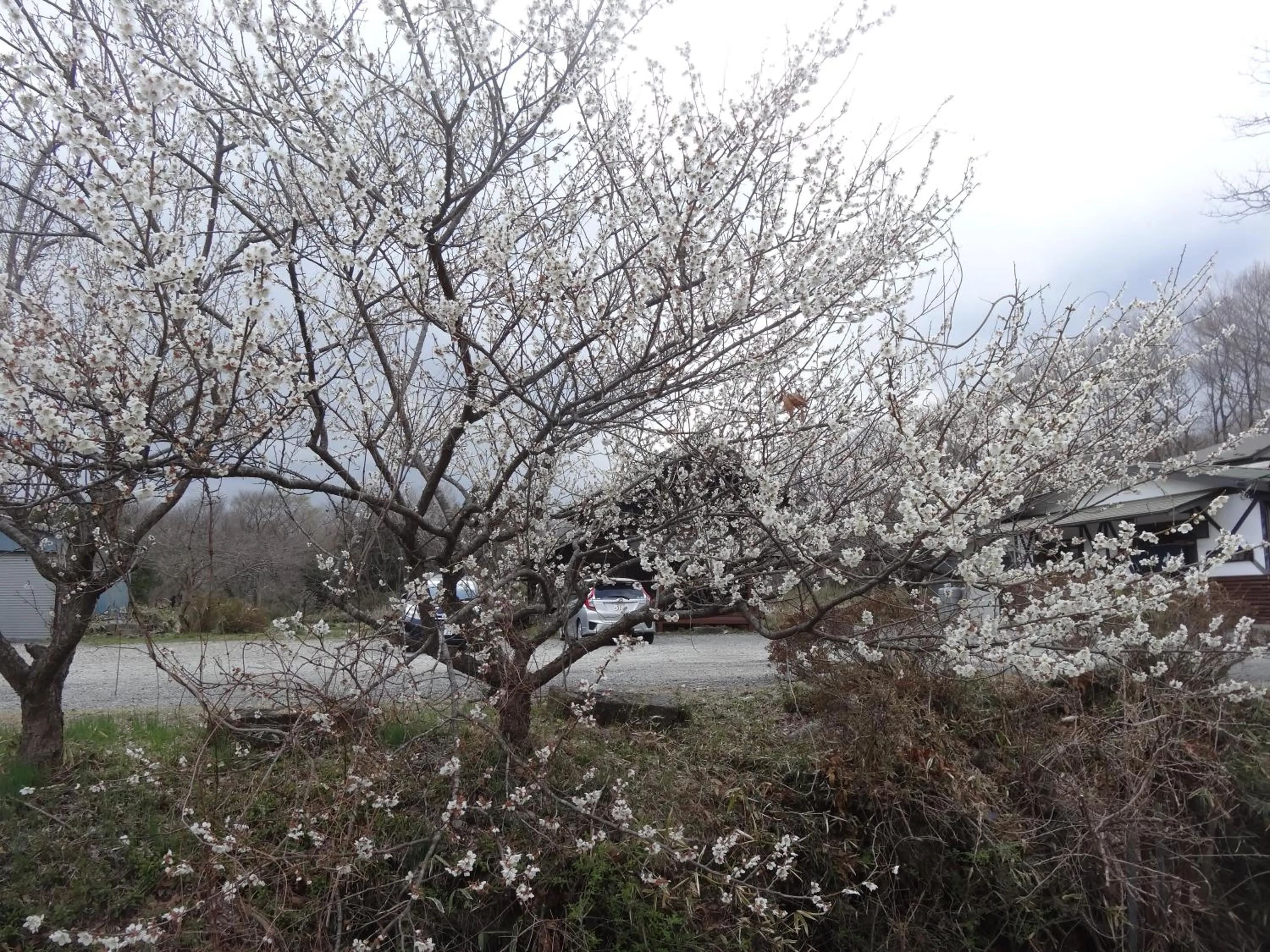 Location in Gasthof Arutany