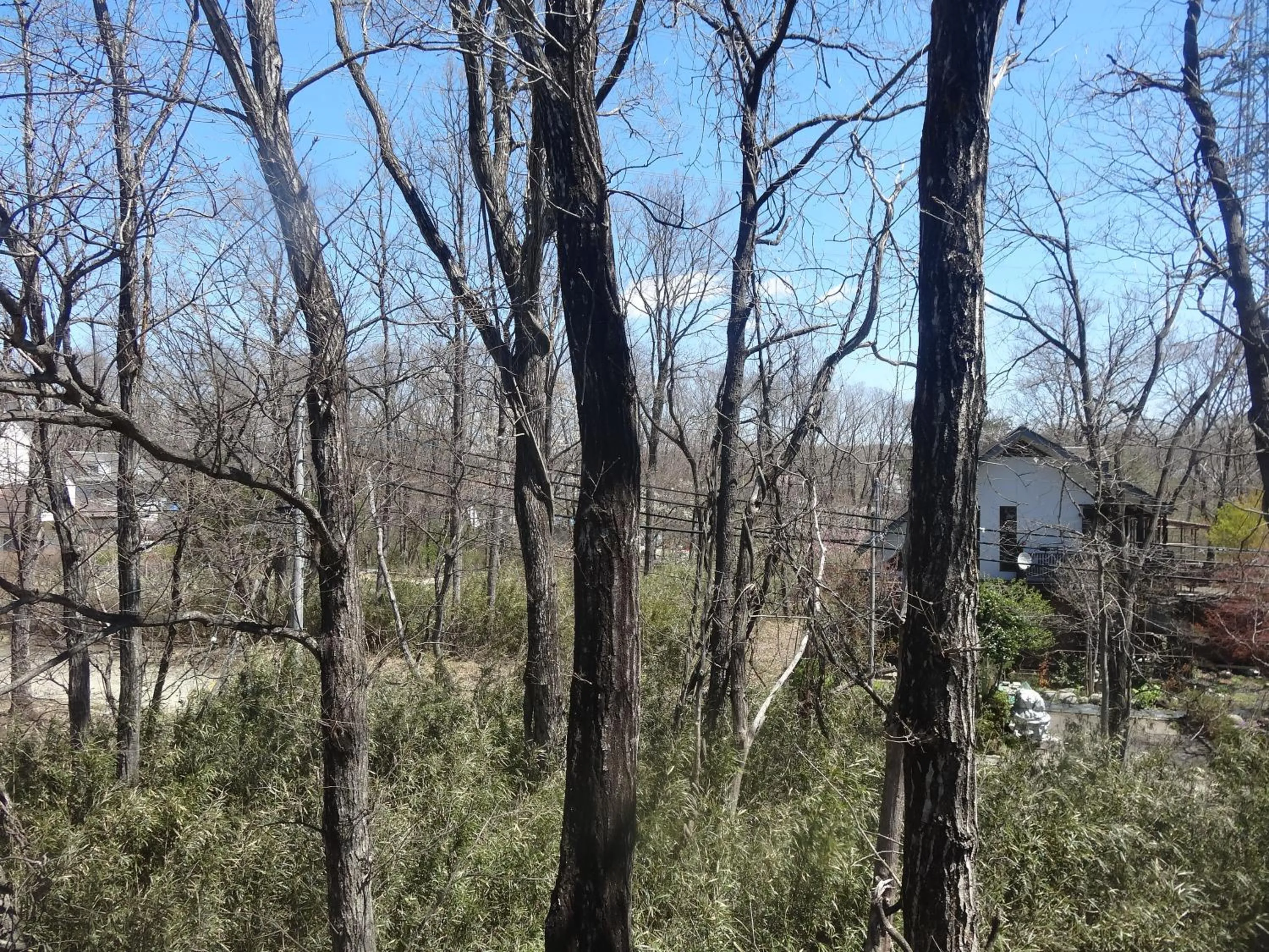 Neighbourhood in Gasthof Arutany