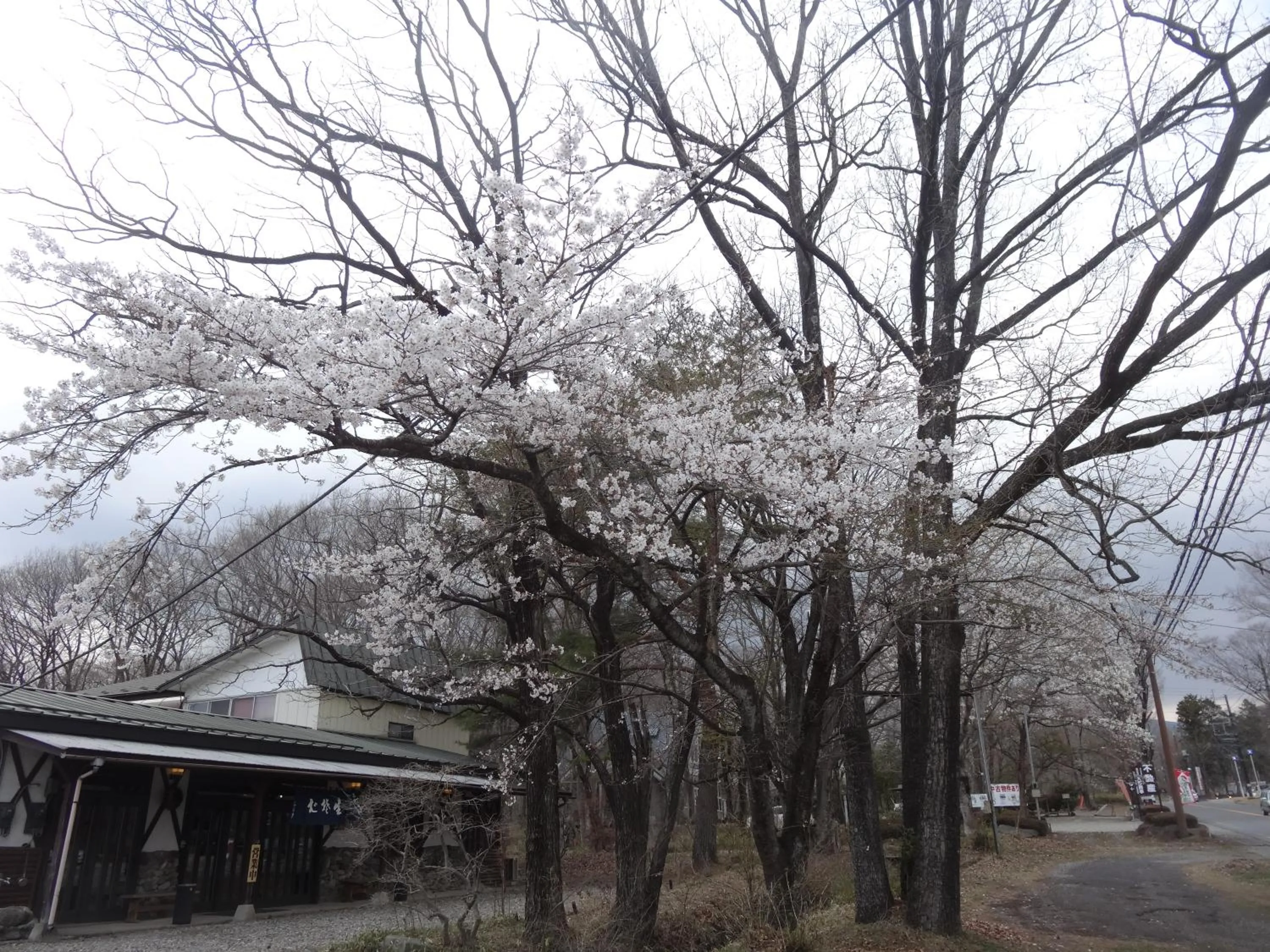 Location in Gasthof Arutany